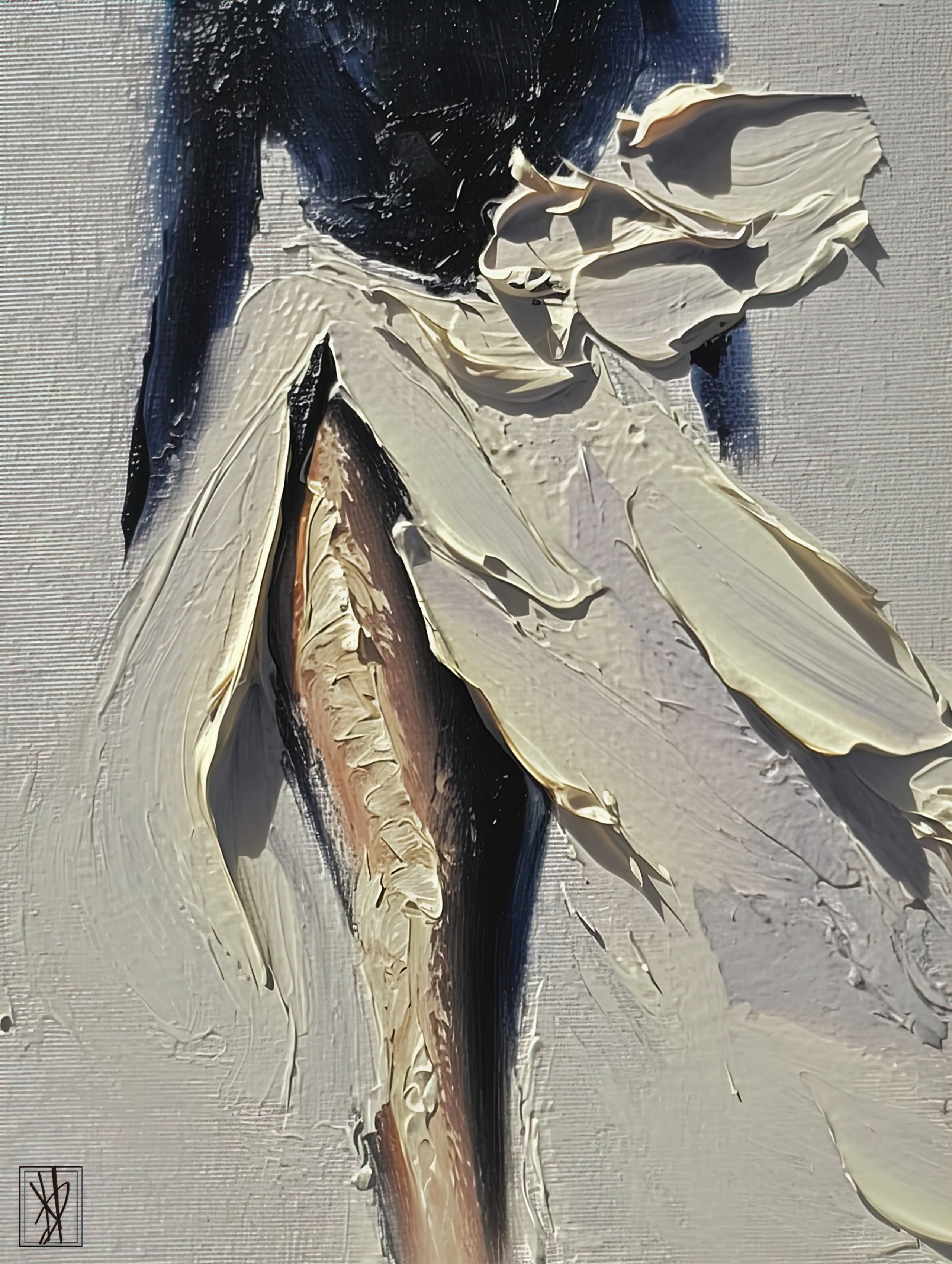 Fashion Collection. Y2