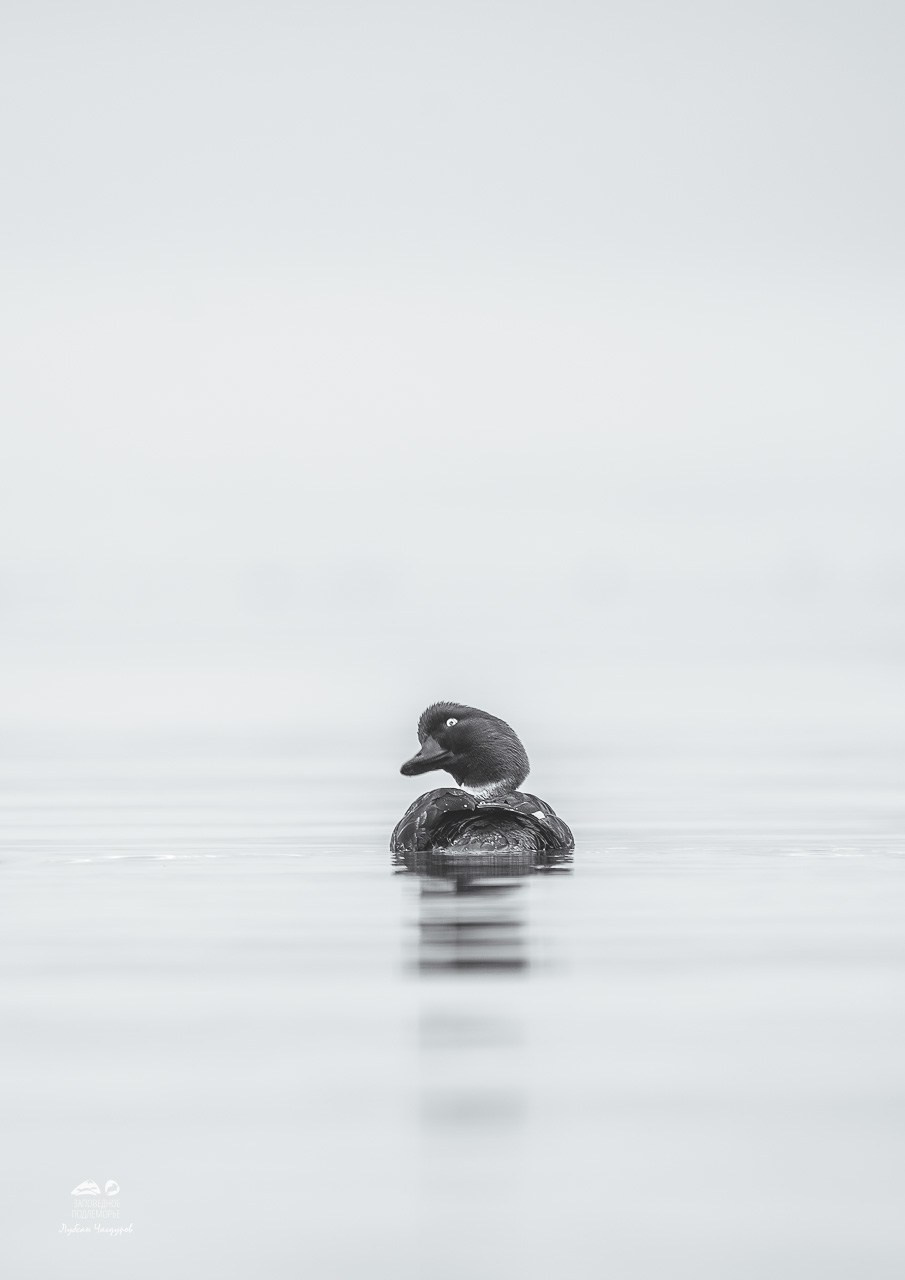 Фотограф Лубсан Чагдуров