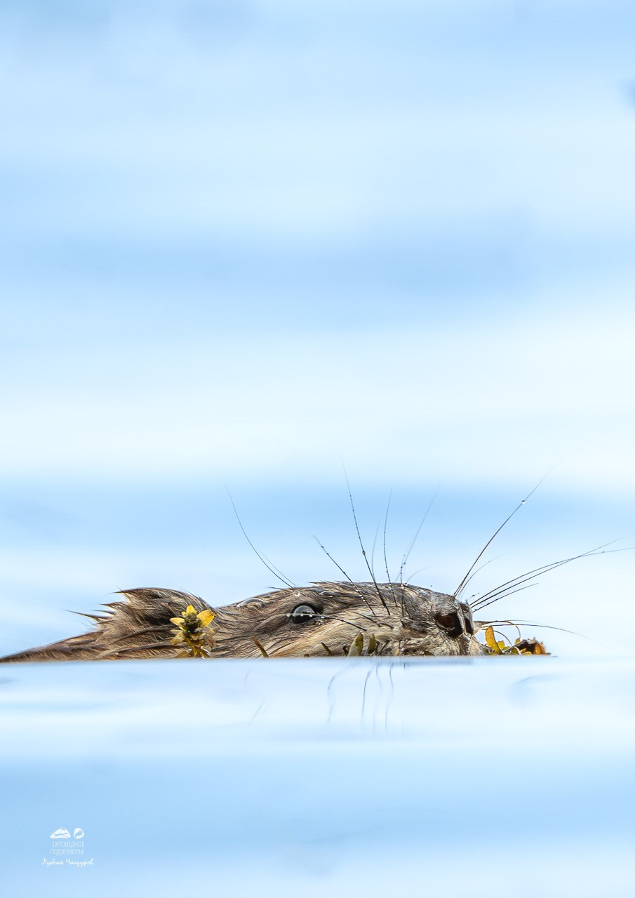 Фотограф Лубсан Чагдуров