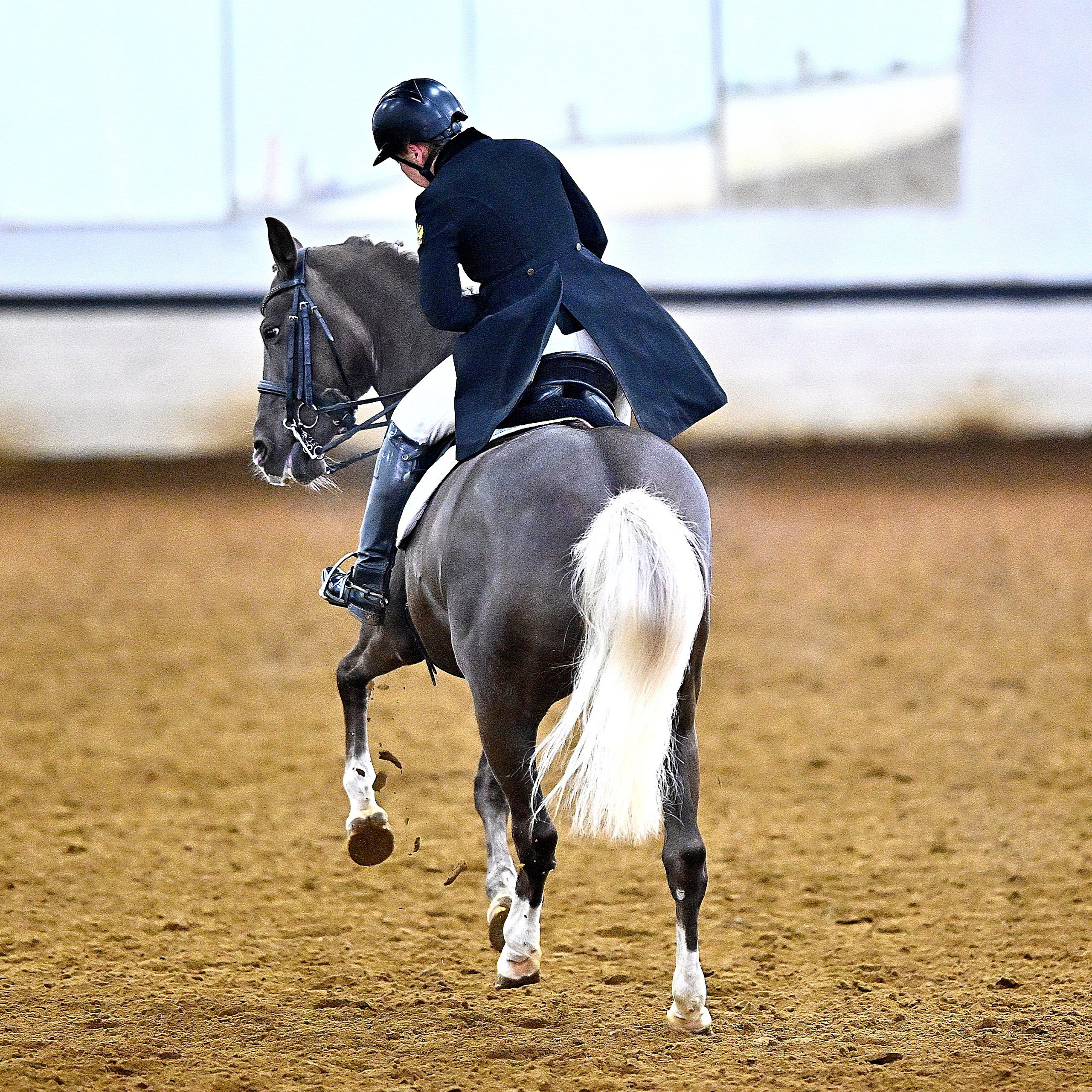 «Весна в Подмосковье» Традиционные соревнования Московской области по выездке. ТУРНИРНАЯ КОННАЯ ФОТОГРАФИЯ, Руднева Ольга и Евгений Адеев
