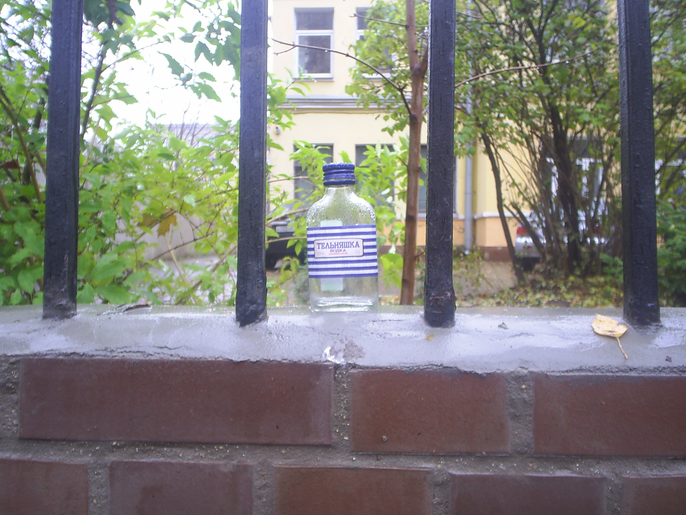 Мои 2000е. Mashoolyaa: художник, фотограф, Санкт-Петербург, Волгоград, Мир