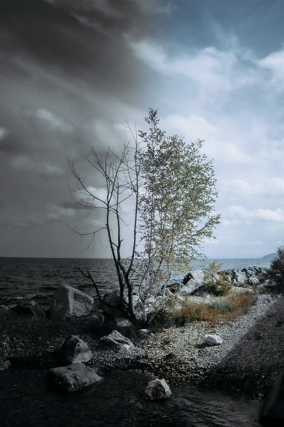 Кир Анисин. Режиссер & фотограф