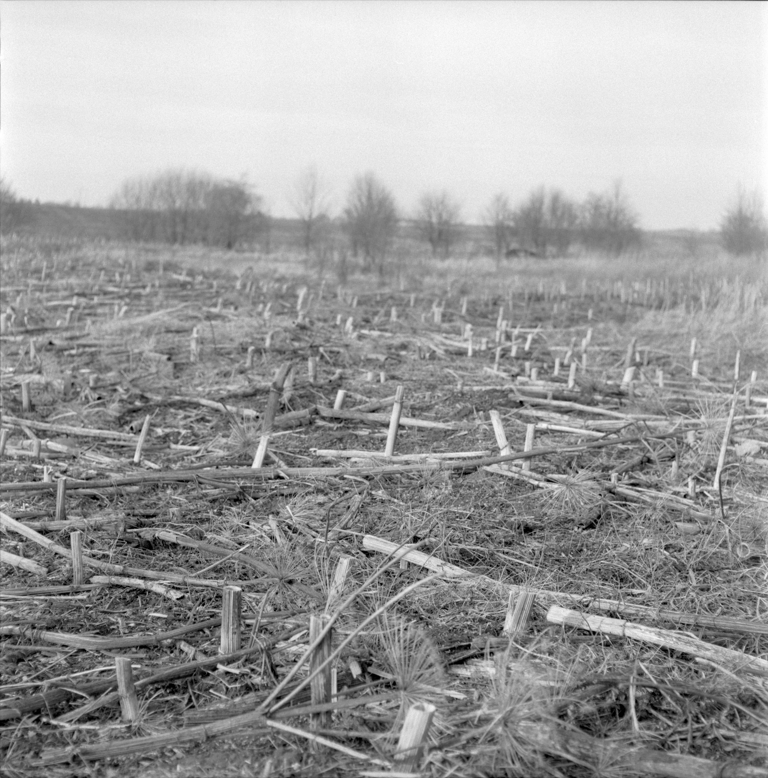 фотография автор Юлия Горбунова, проект День без числа