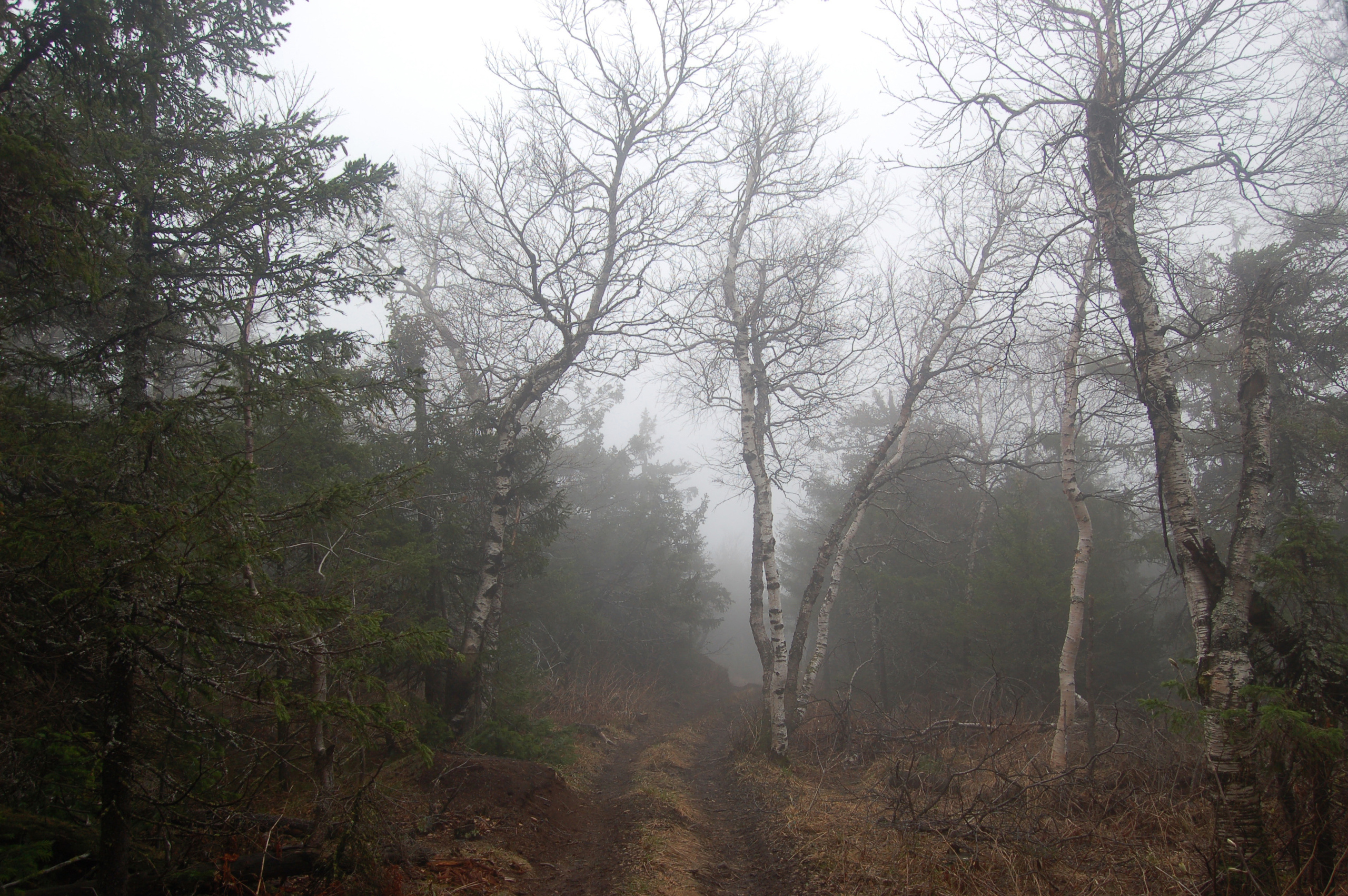 Гора Юрма. Фото и жизнь