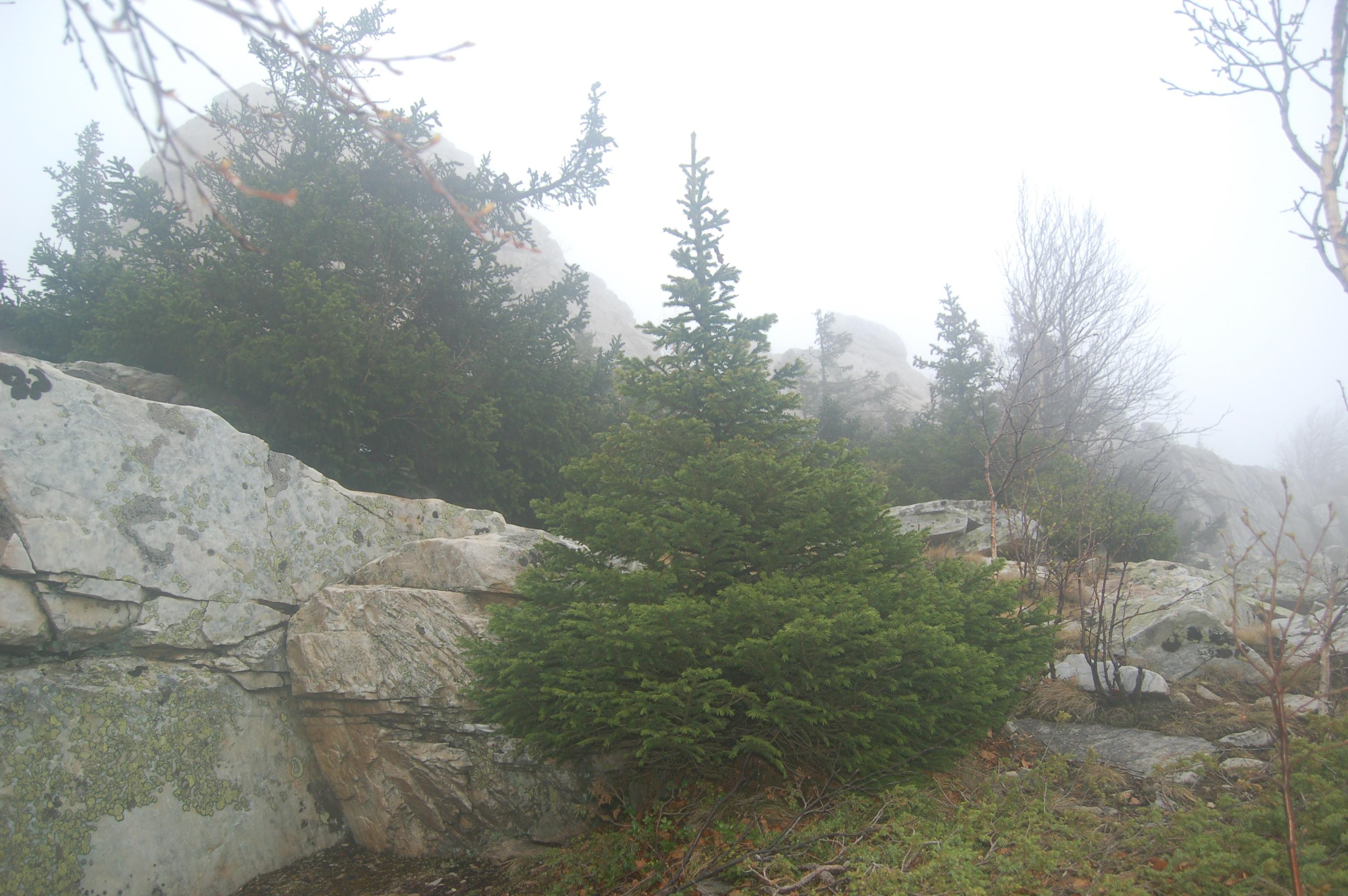 Гора Юрма. Фото и жизнь