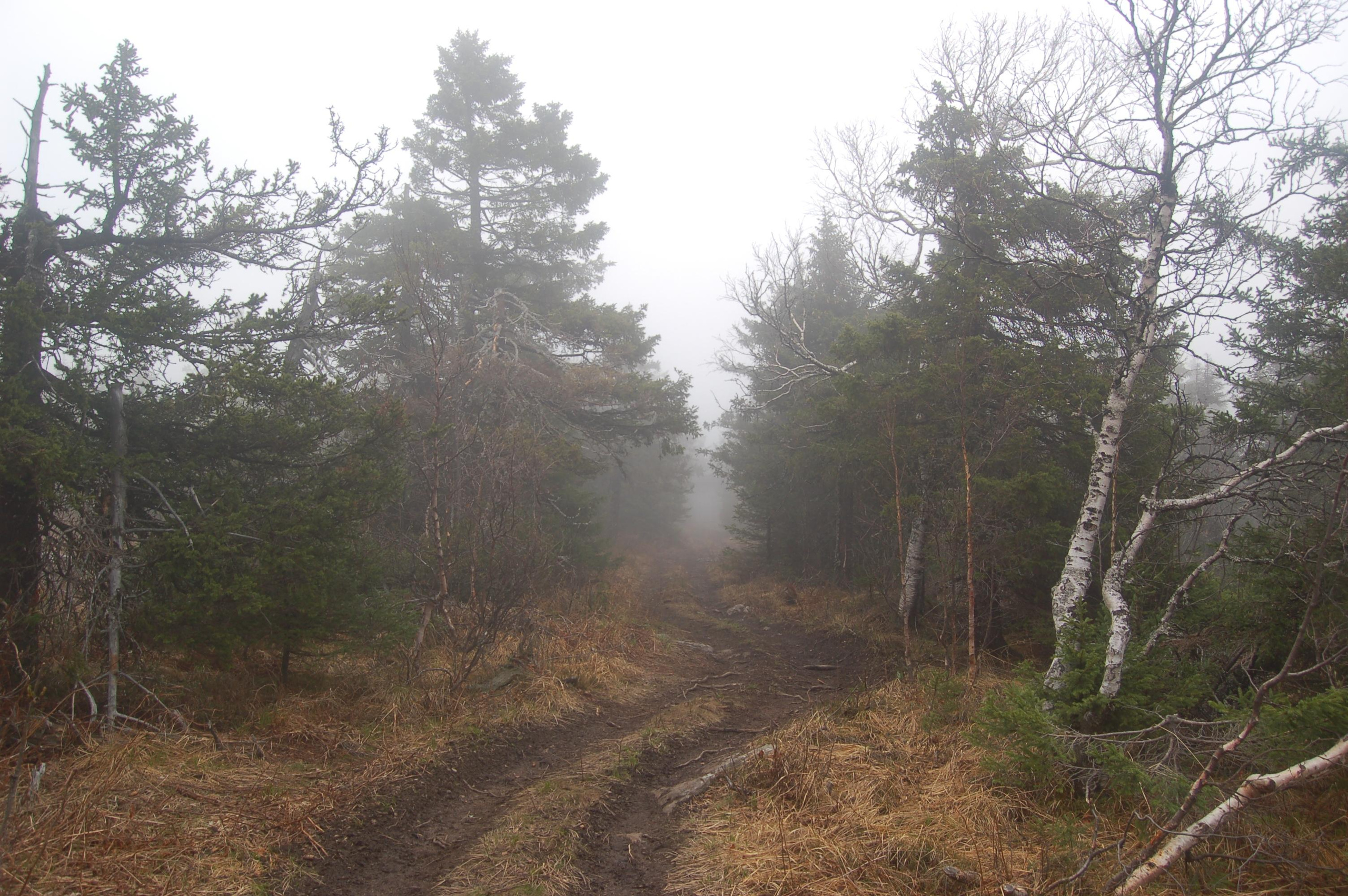 Гора Юрма. Фото и жизнь