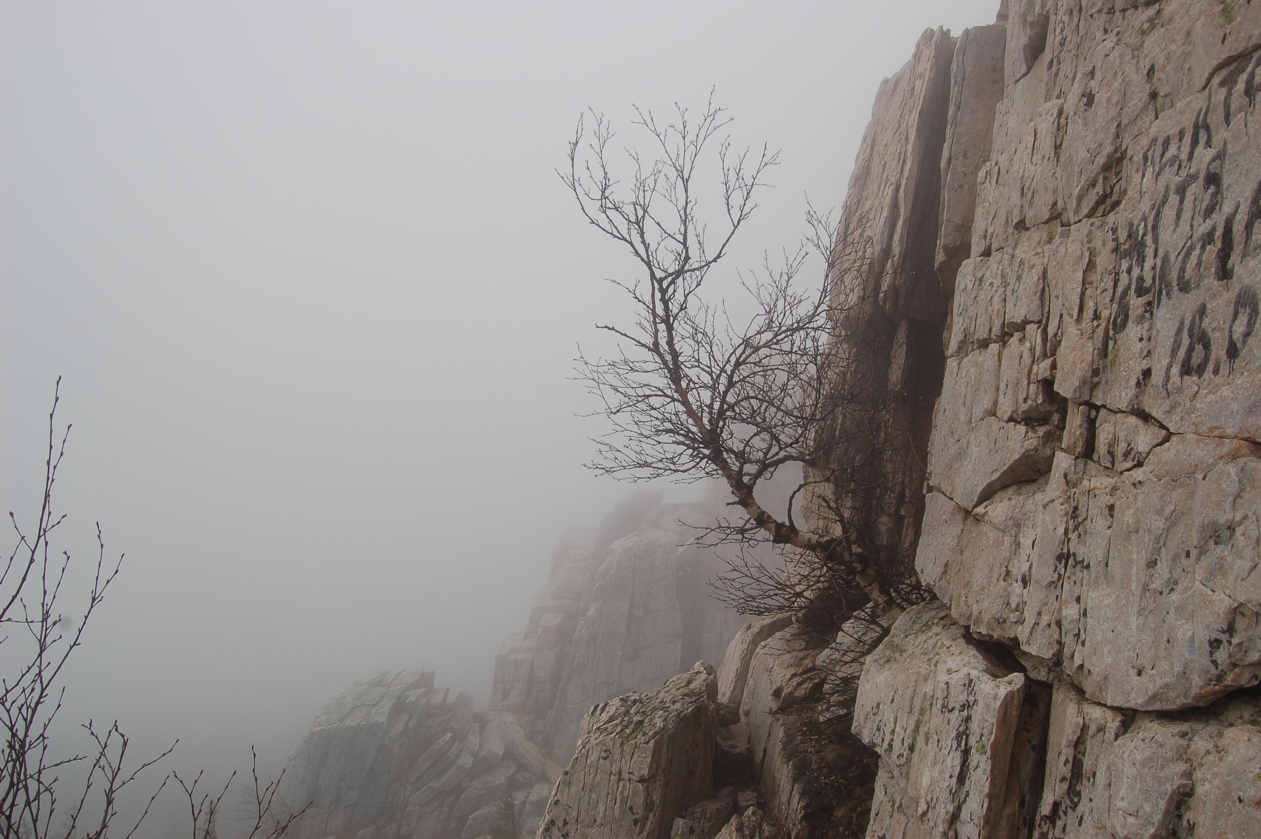 Гора Юрма. Фото и жизнь