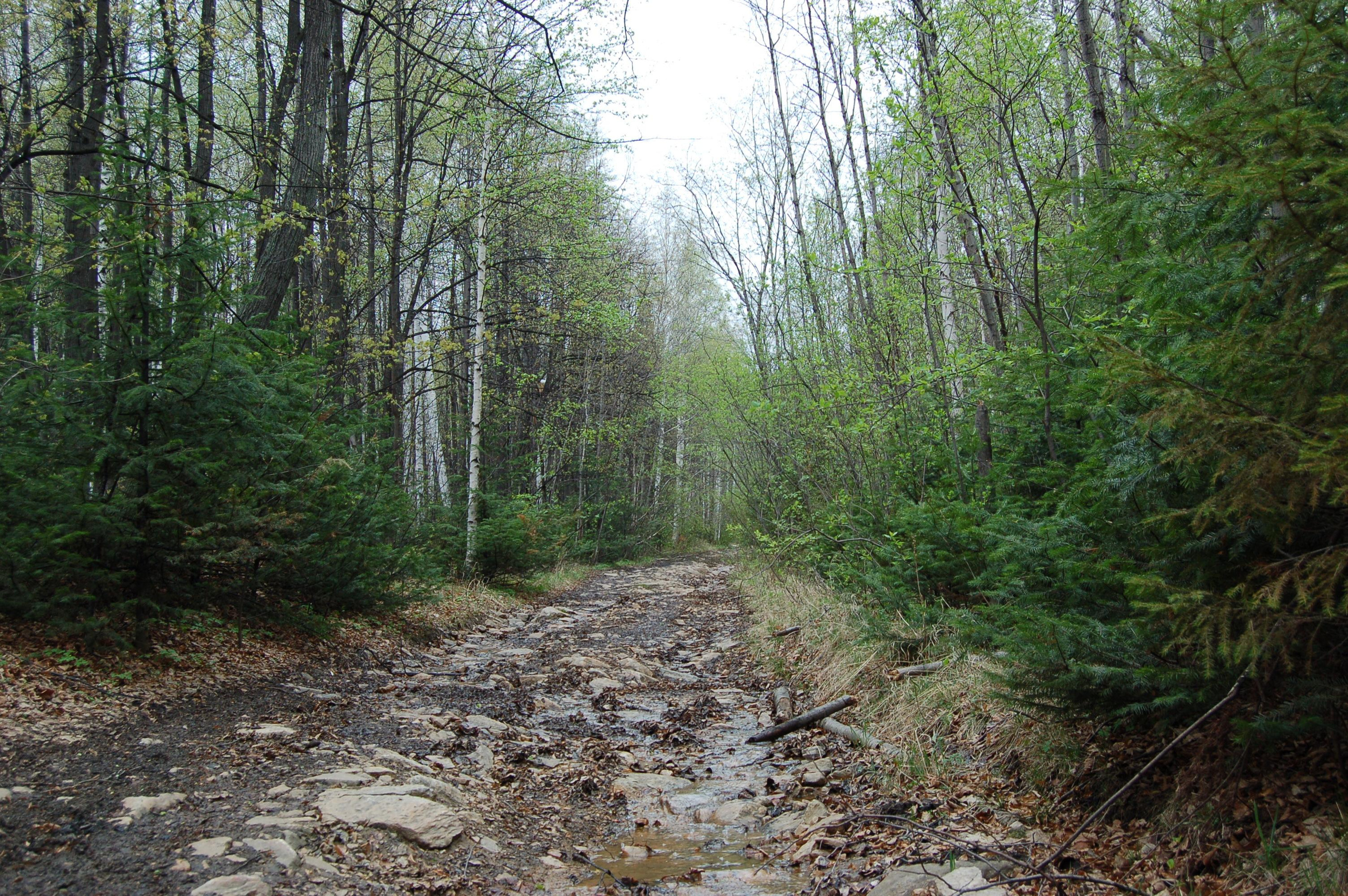 Гора Юрма. Фото и жизнь