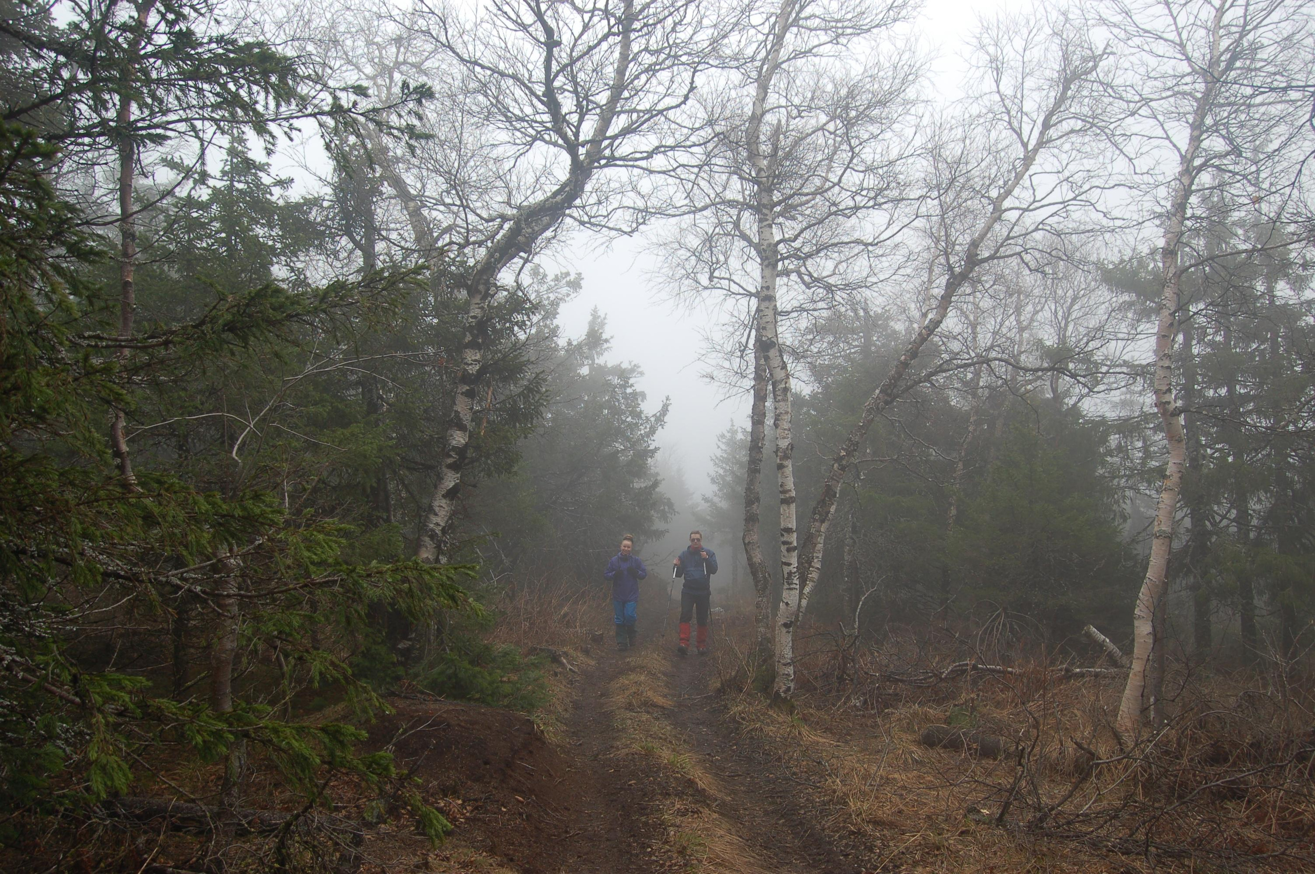 Гора Юрма. Фото и жизнь