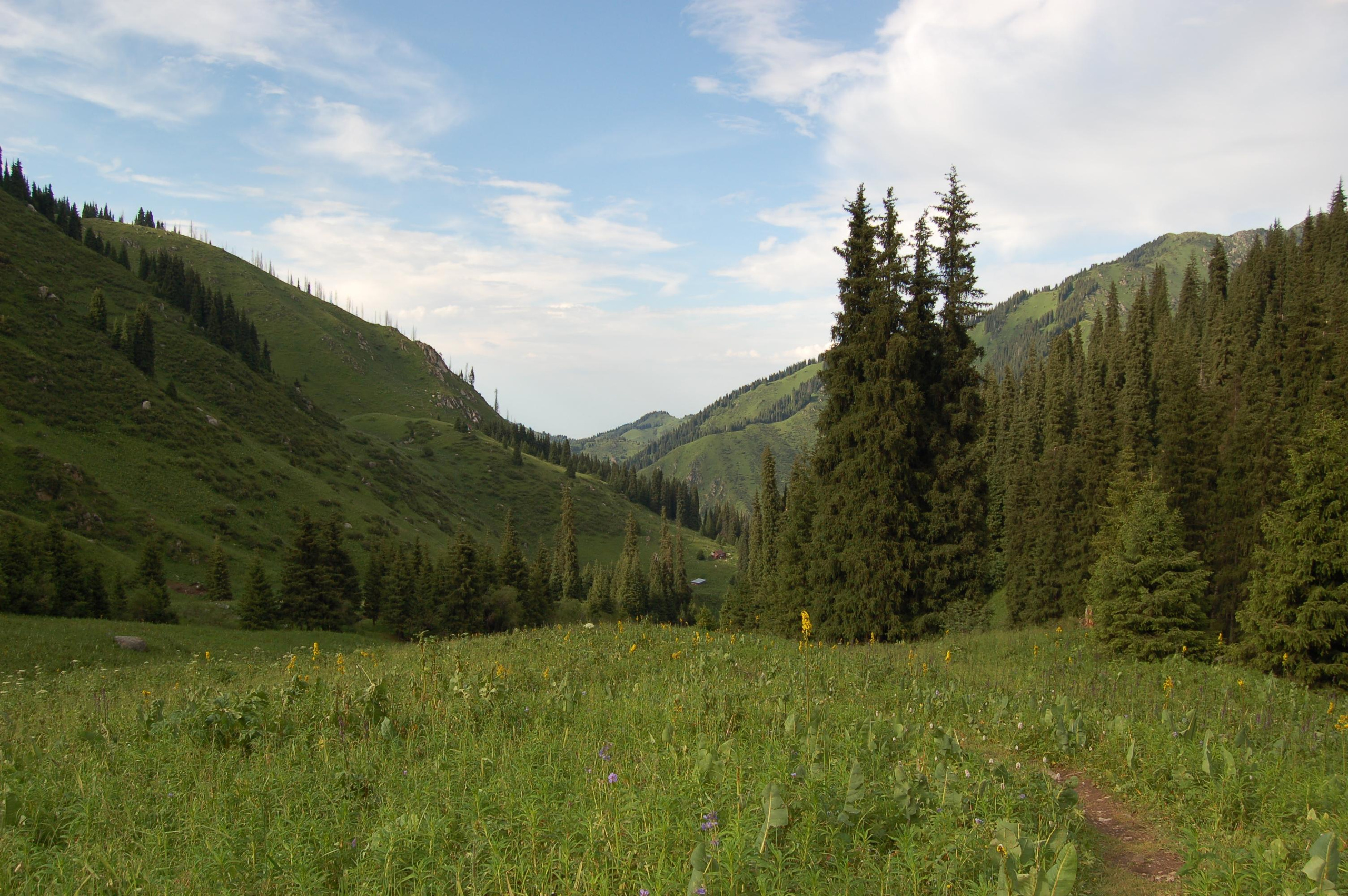 Прогулка по городу Алма́-Ата́ и его окрестностям. Фото и жизнь