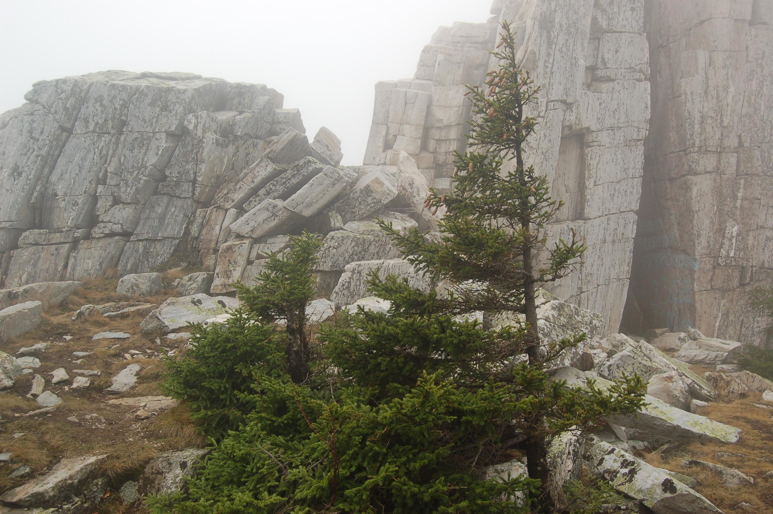 Гора Юрма. Фото и жизнь