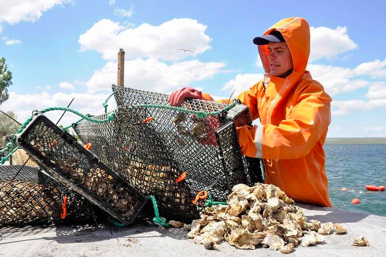 Озеро Донузлав. Продажа земельных участков.