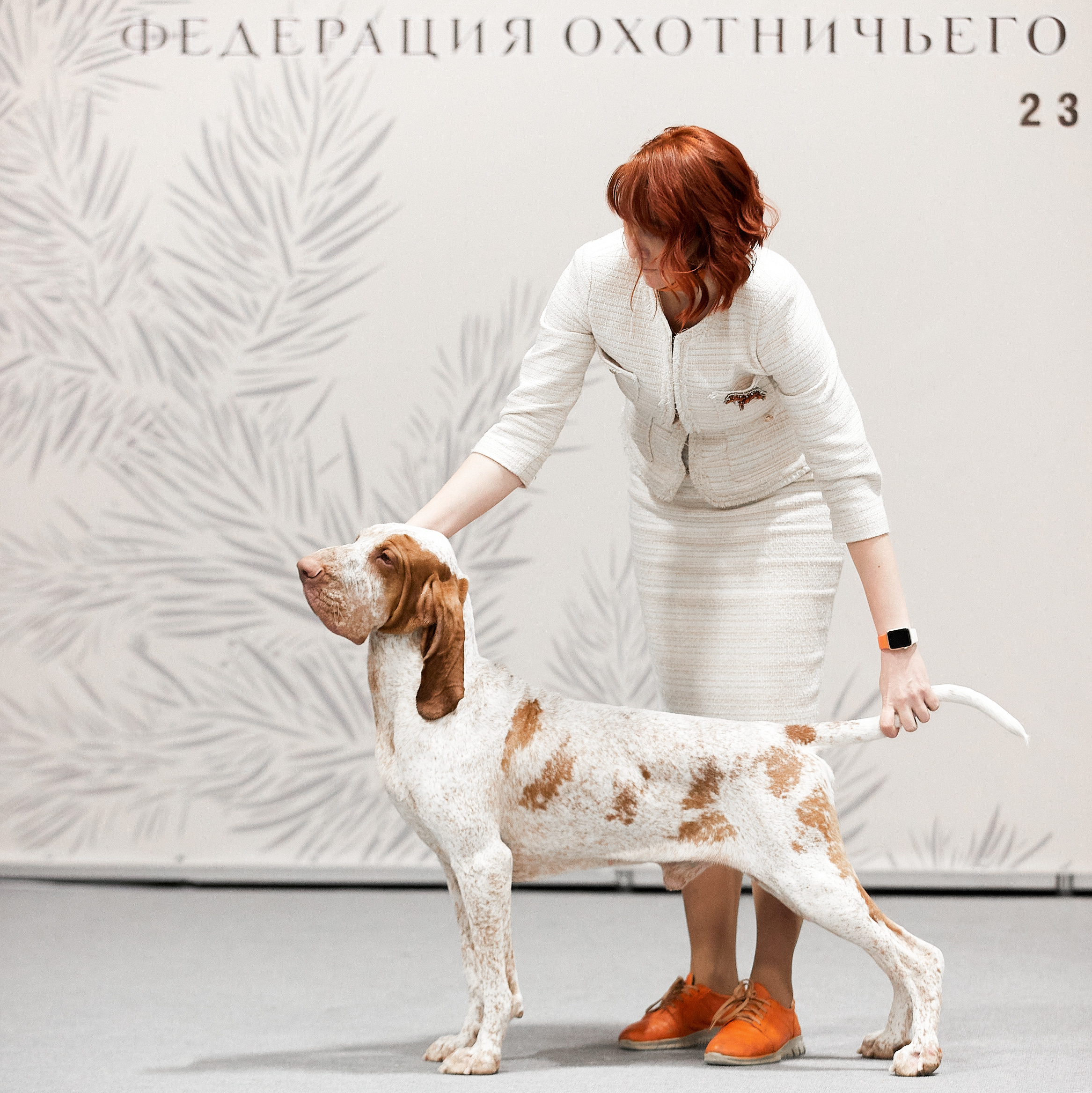 ФОТО ВЫСТАВКИ. ФОТОГРАФ-АНИМАЛИСТ l LANA POLYAKOVA