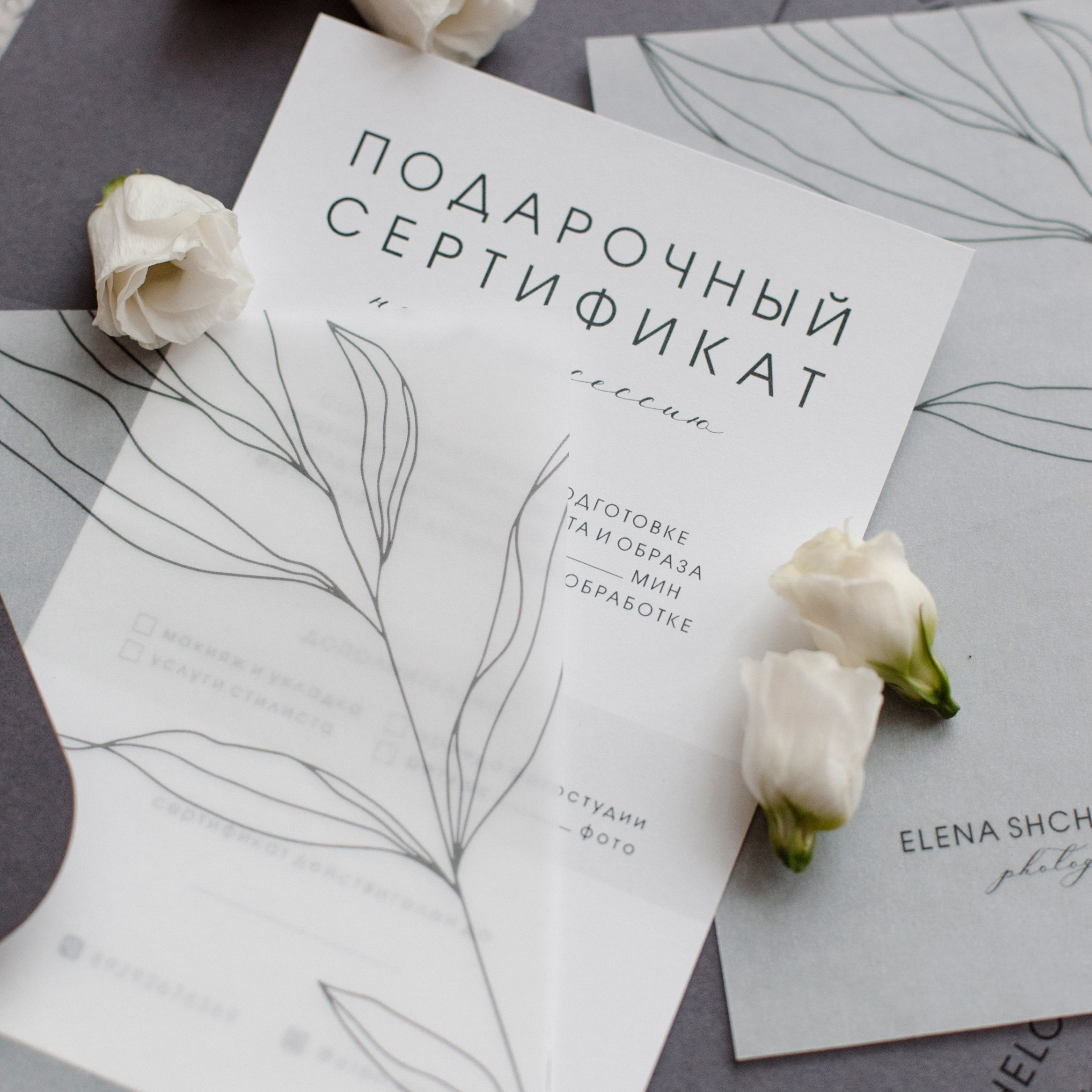 Сертификат. Женский и семейный фотограф Щелчков Елена