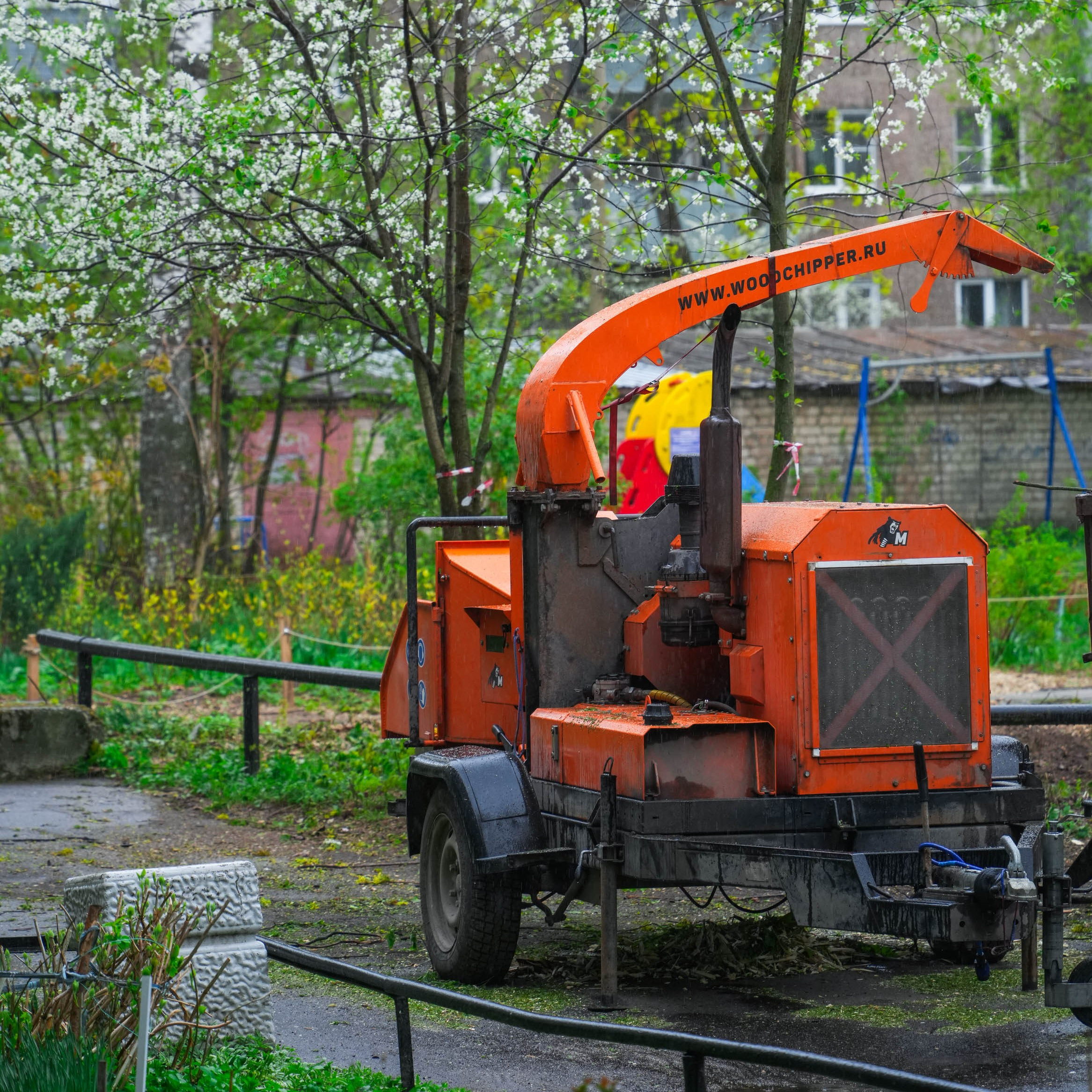 Арбористы за работой. Спортивный и репортажный фотограф в Иваново Сергей Силкин