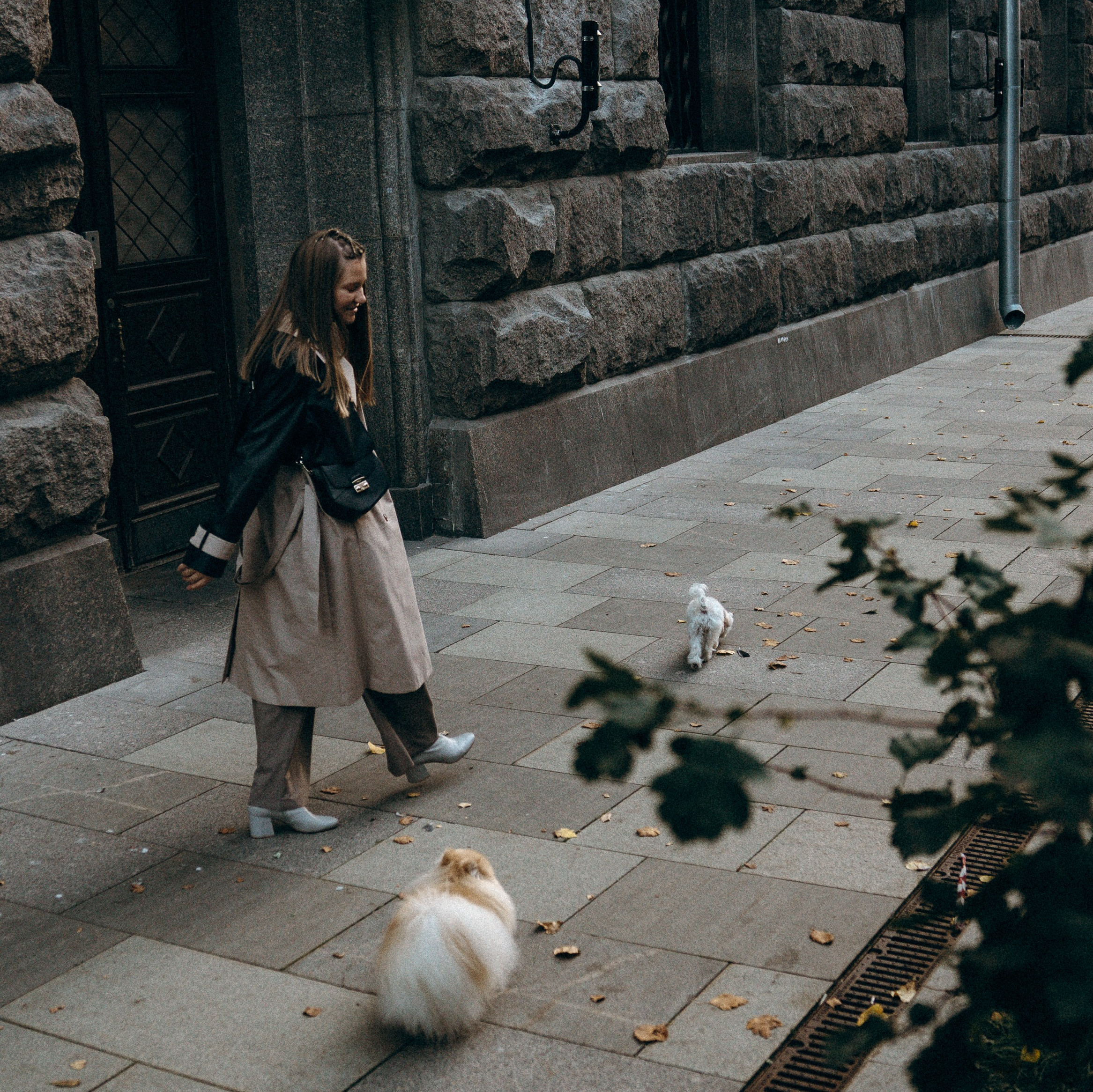 How it works. Photos of you and your pet