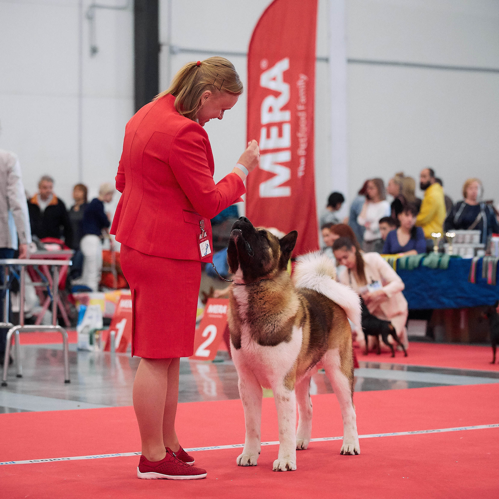 IMAGINE DRAGON * Галс