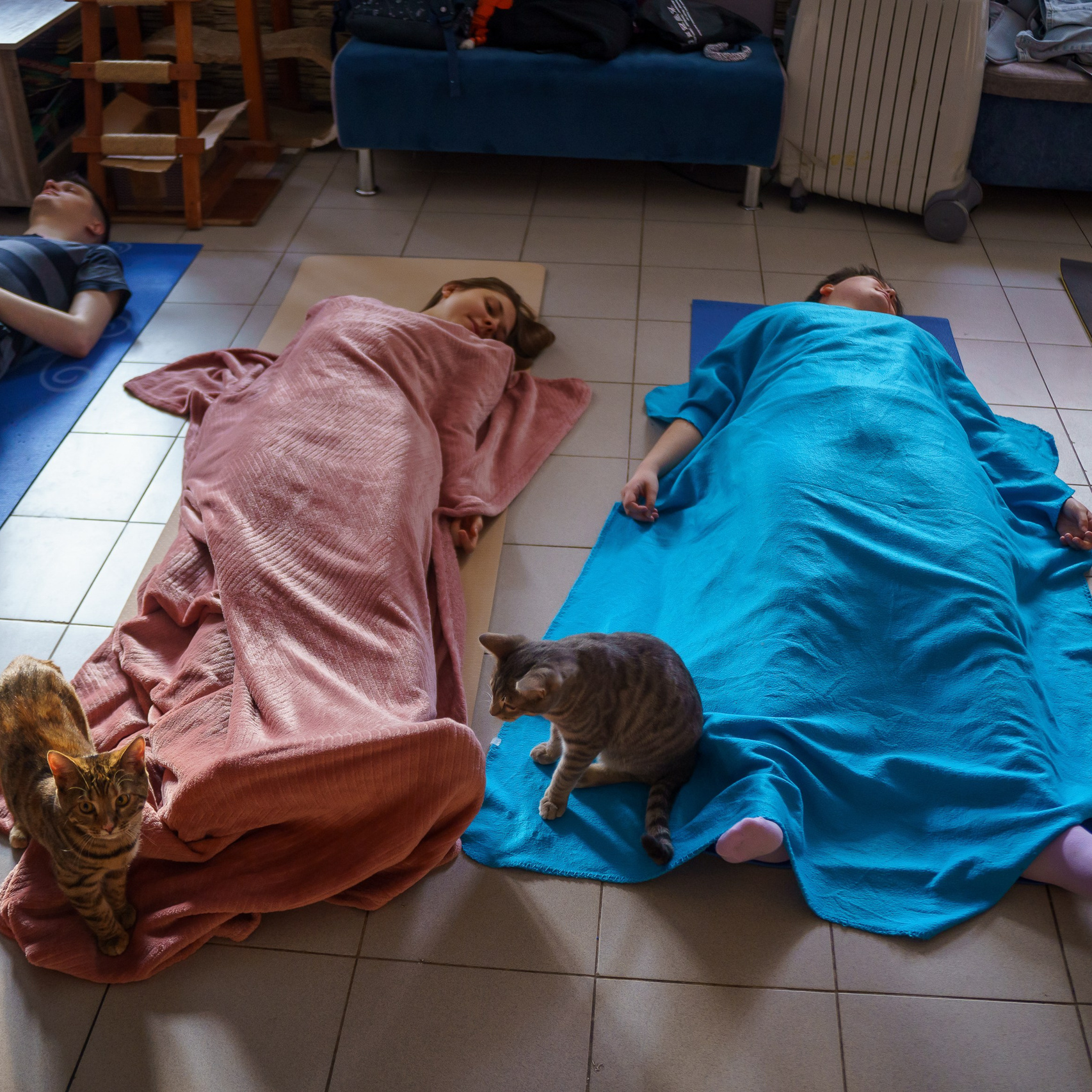 КОТОЙОГА. Фотограф Челябинск · Ольга Серебрякова