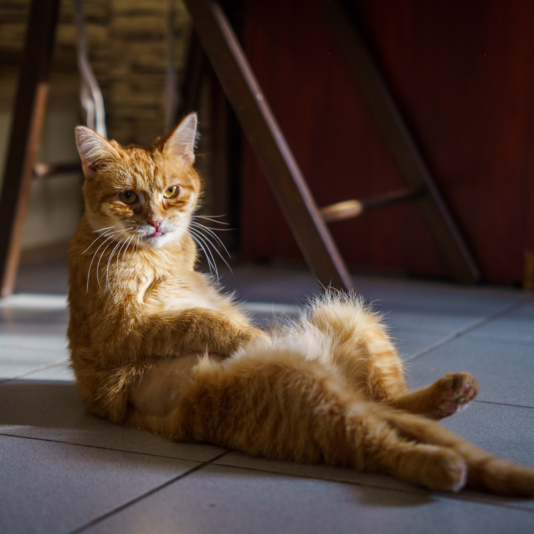 КОТОЙОГА. Фотограф Челябинск · Ольга Серебрякова