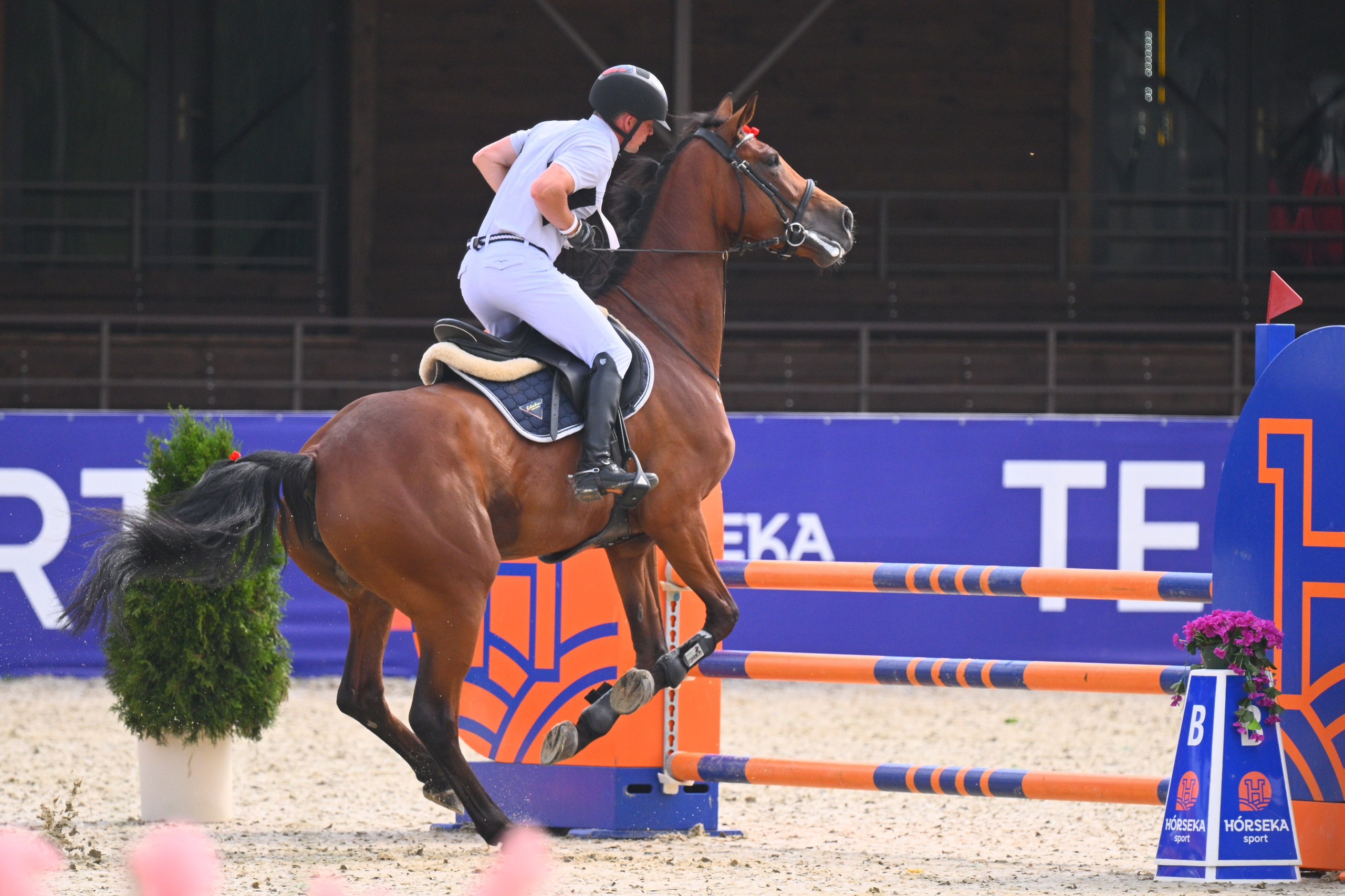 01-03 авг 2025 — Большое поле. HORSEKA Тур. Молодые Лошади и Общий зачет (1). ТУРНИРНАЯ КОННАЯ ФОТОГРАФИЯ, Руднева Ольга и Евгений Адеев