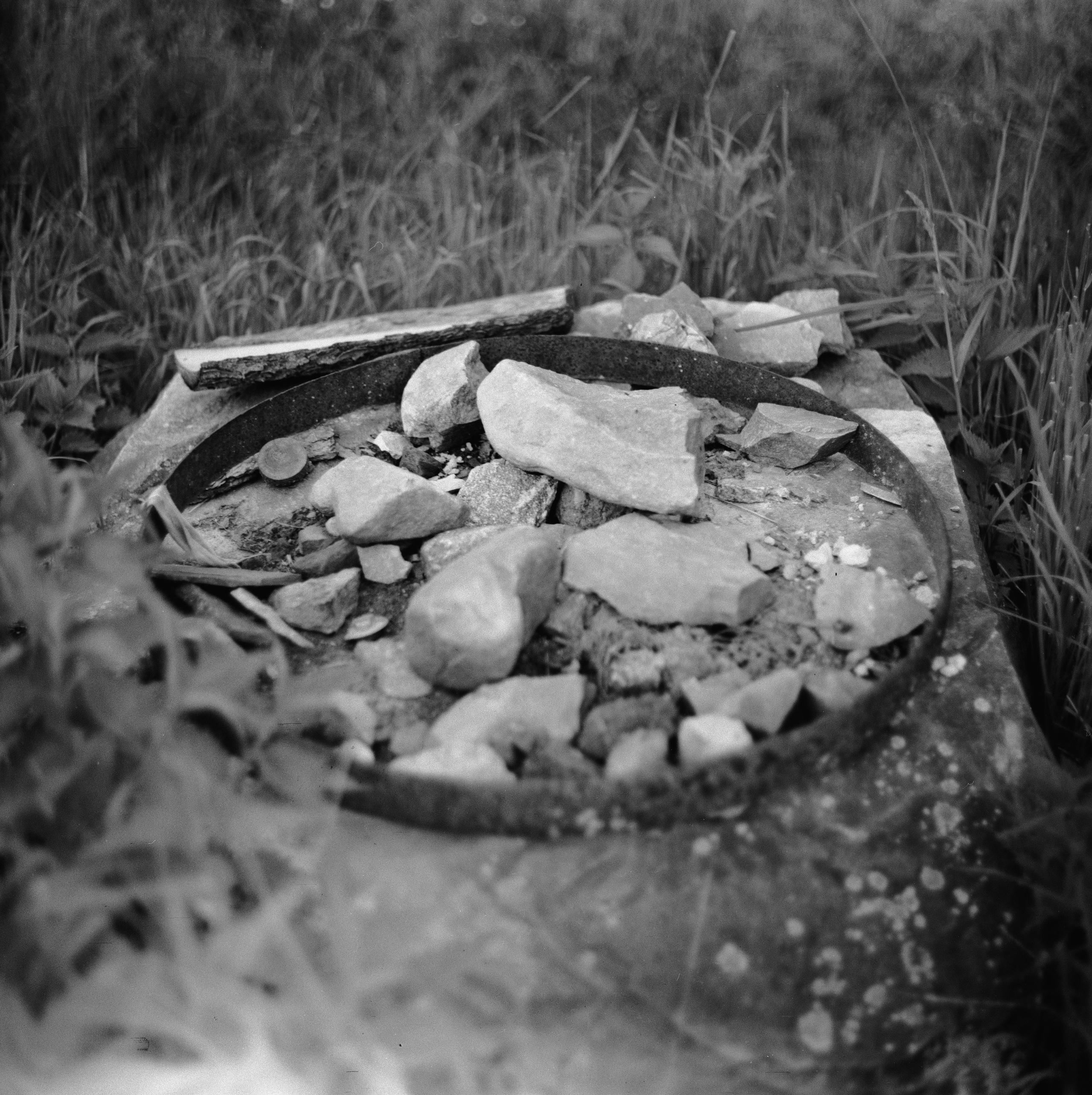 Aksenovo. Photographer Dima Sharov | Фотограф Дима Шаров