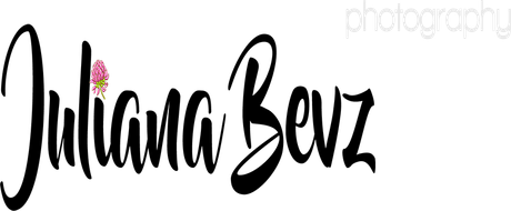 julianabevz.art