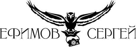 efimovs.pro