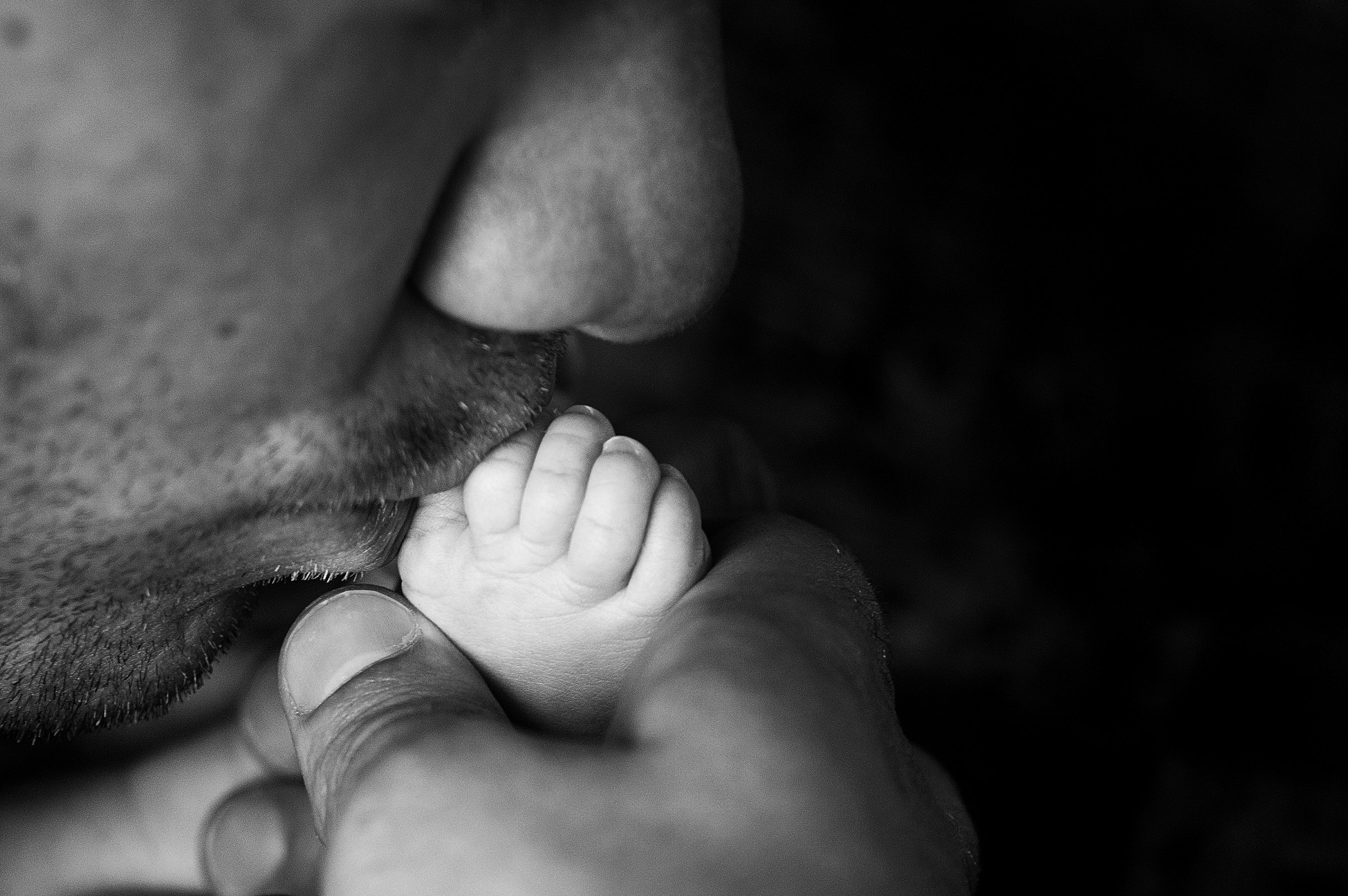 стоимость фотосессии новорожденных