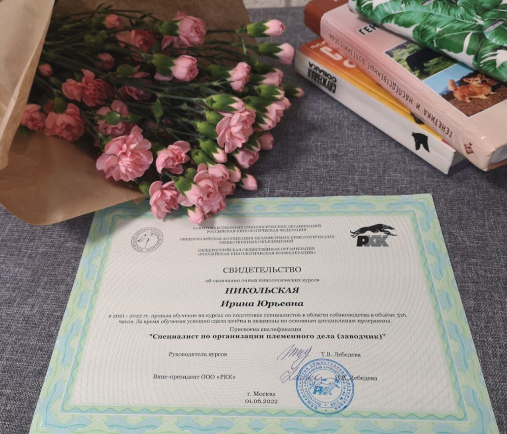 Питомник собак породы вест хайленд вайт терьер в Москве. Питомник собак породы вест хайленд вайт терьер в Москве