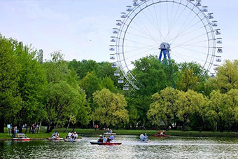 Свадебная фотосессия в Измайловском лесопарке
