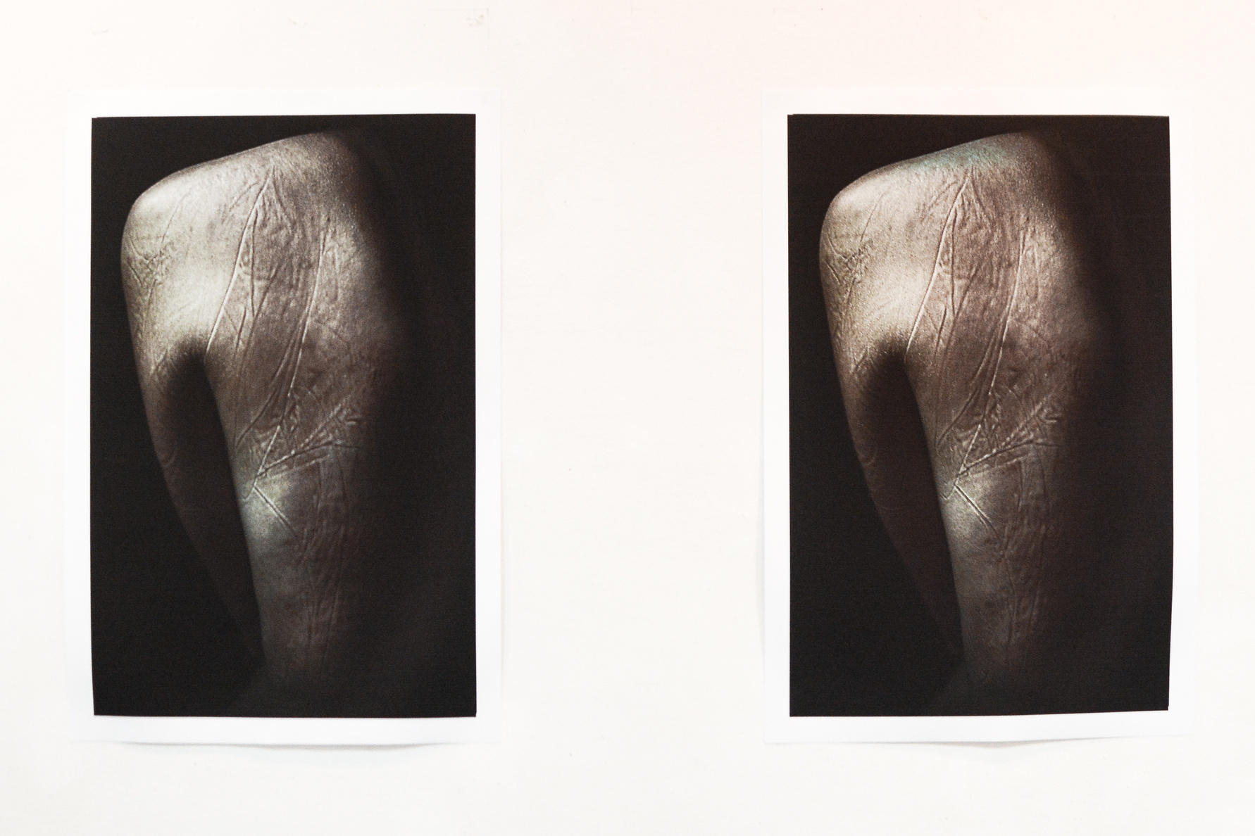 Exhibitions. Фотограф Женя Грош в Москве