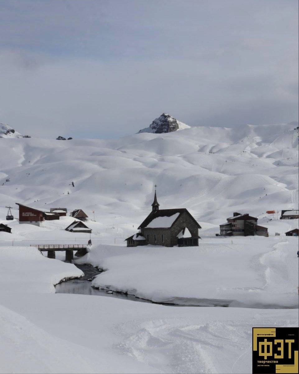 Выбор зрителей 14.12.25