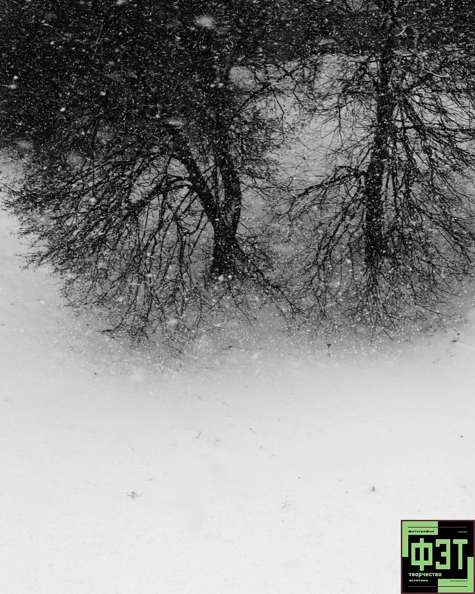 Альбом 04.01.26