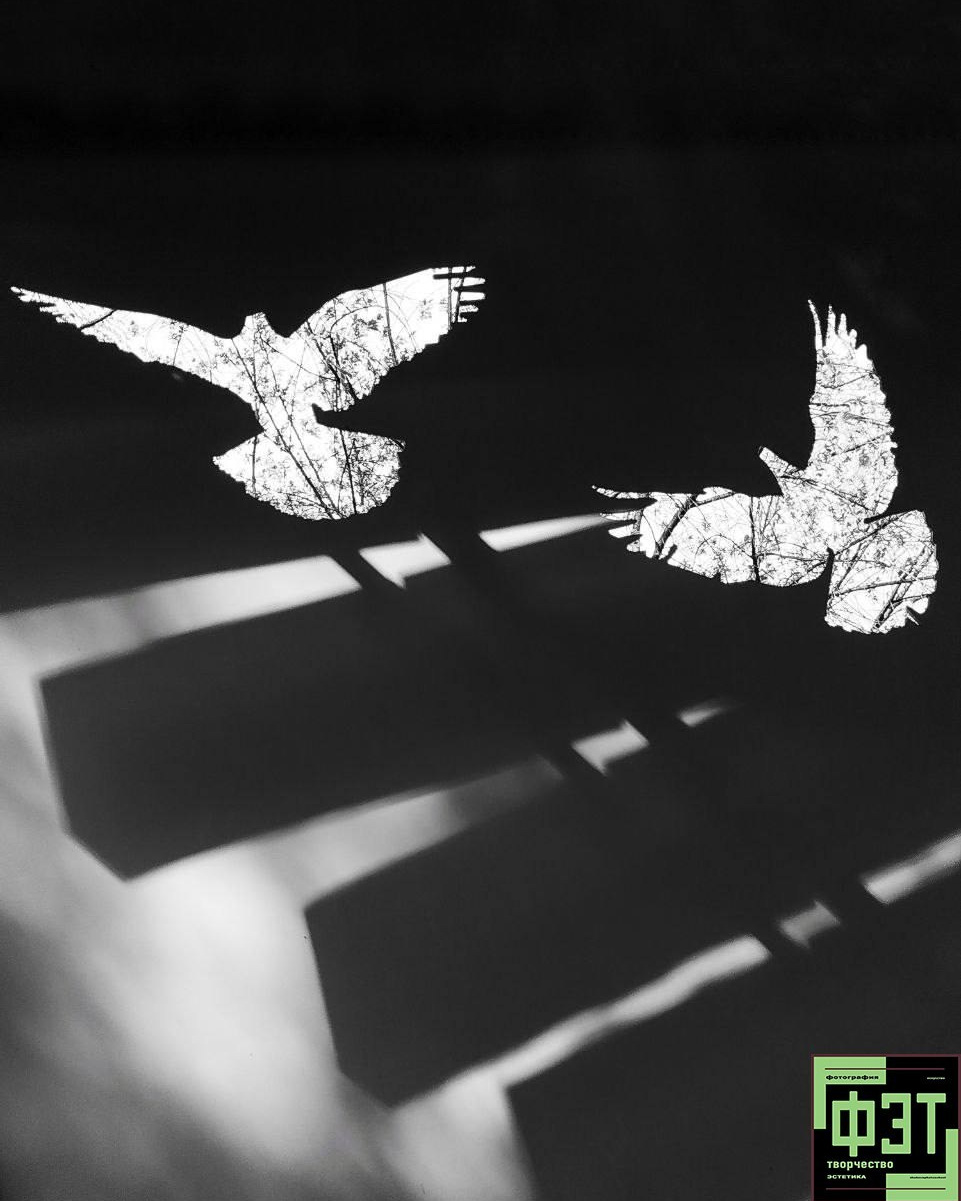 Наталья Переверзева