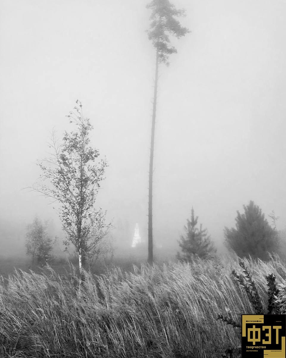 Выбор зрителей 23.11.25