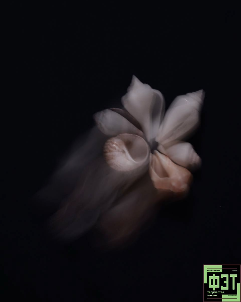 Альбом 21.12.25 проект ФЭТ