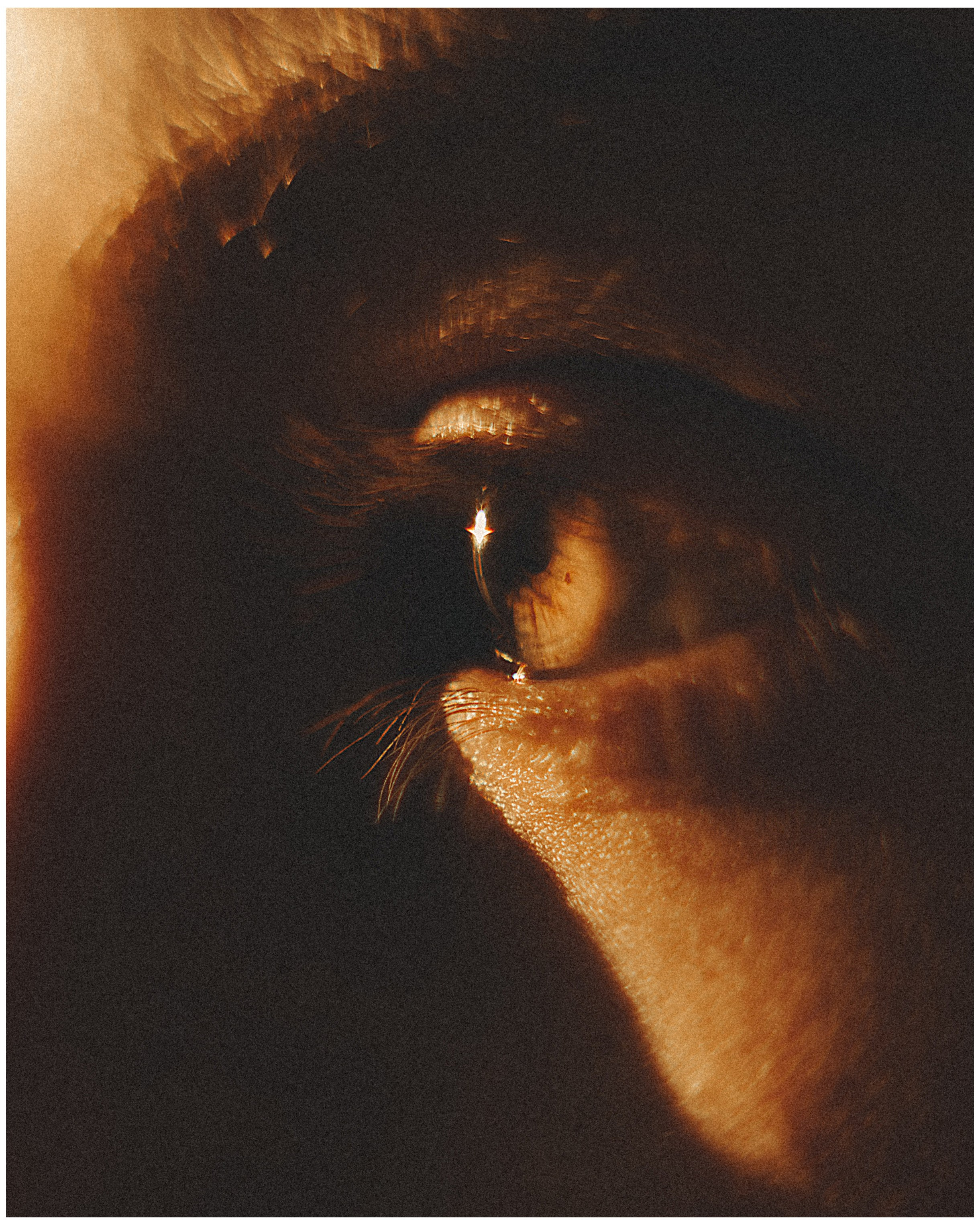 ОБУЧЕНИЕ ФОТОГРАФИИ