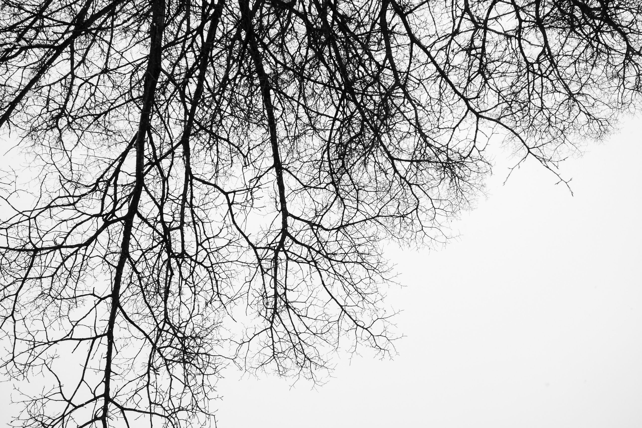 Фоточеллендж «30 дней — 30 фото». Олег Романов. Мастер фото по спорту