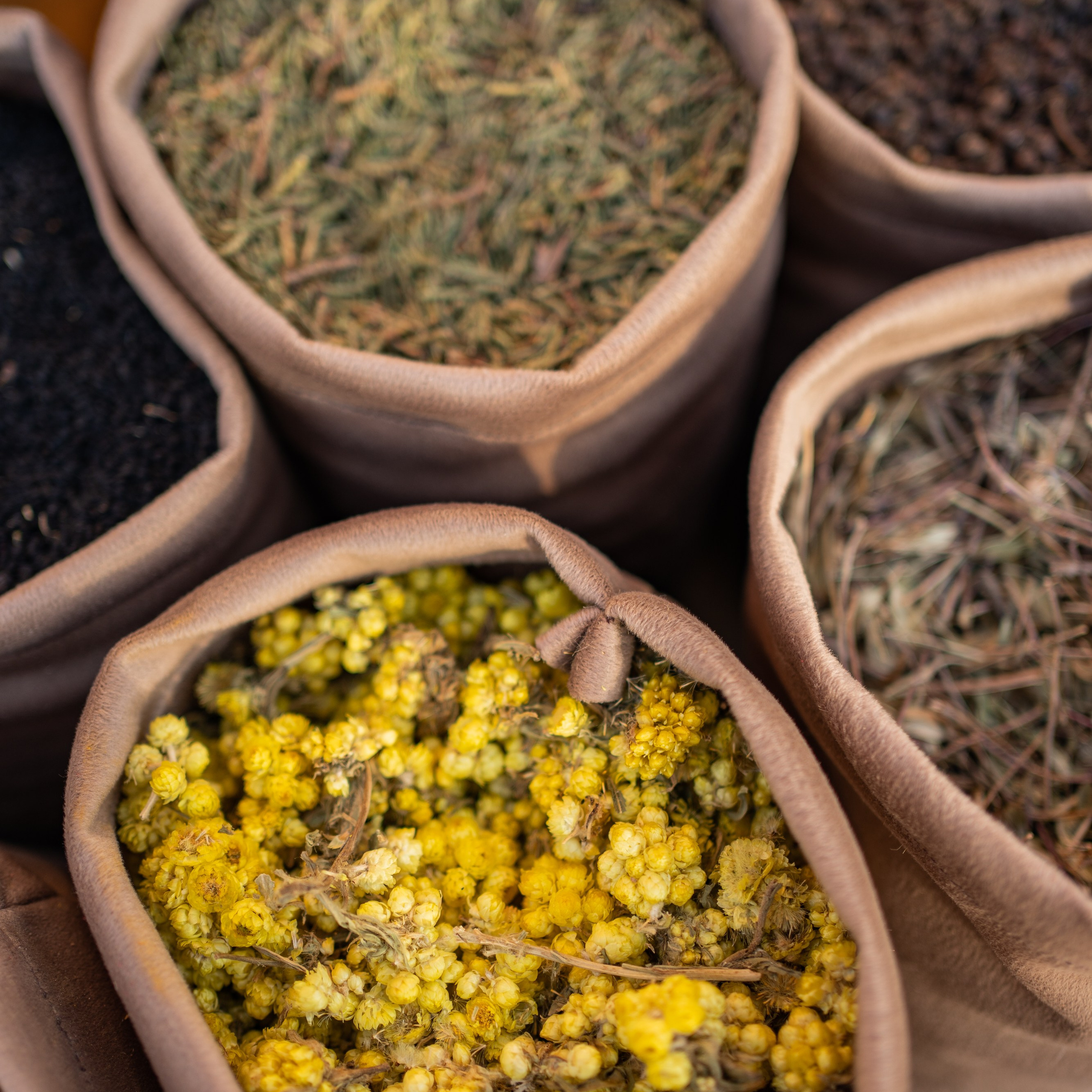 Узбекистан. Семейный фотограф, фотосессия беременности в Новосибирске Кристина Киб