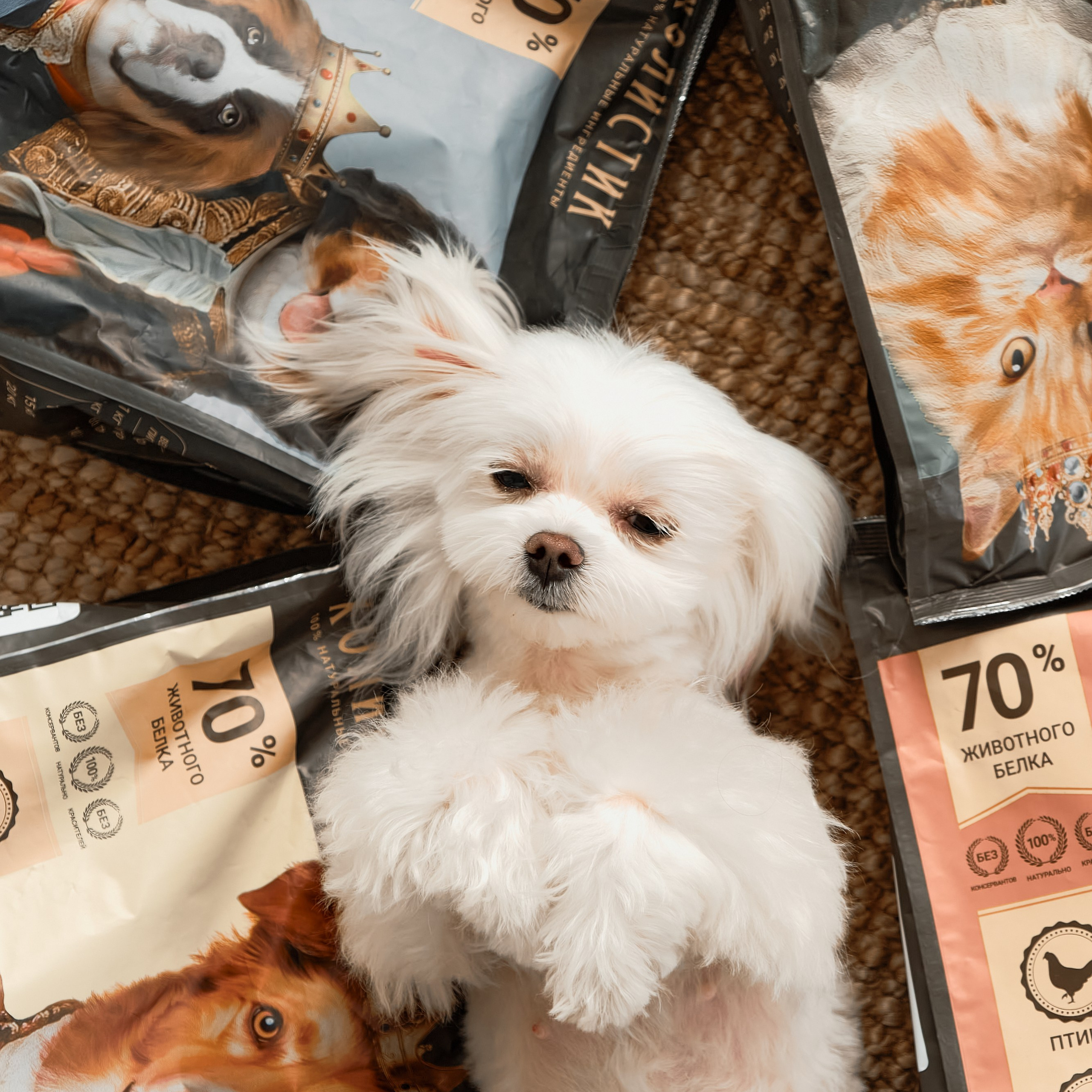 Предметный фотограф в Краснодаре Анастасия Ким