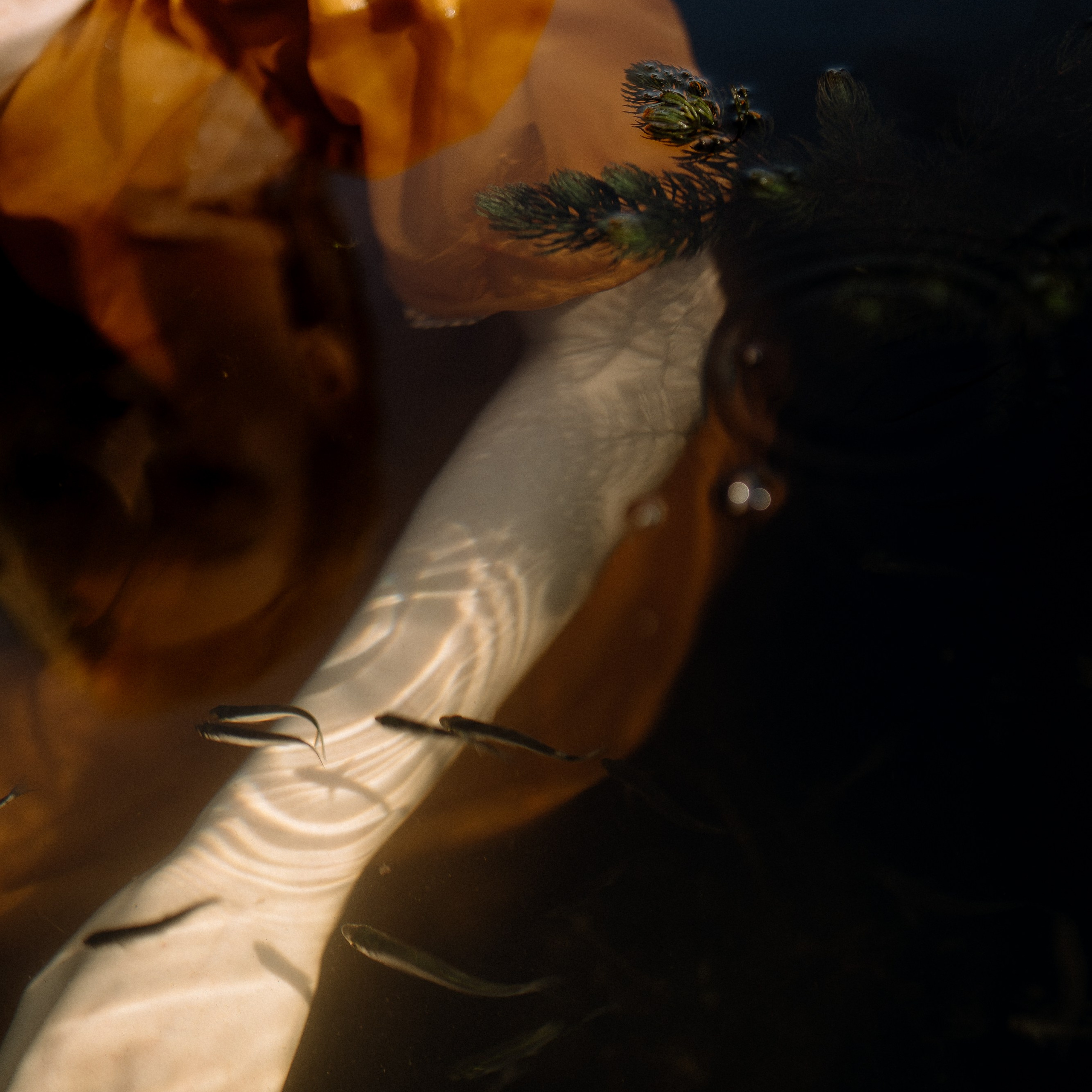 Контакты. Андрейко Надежда