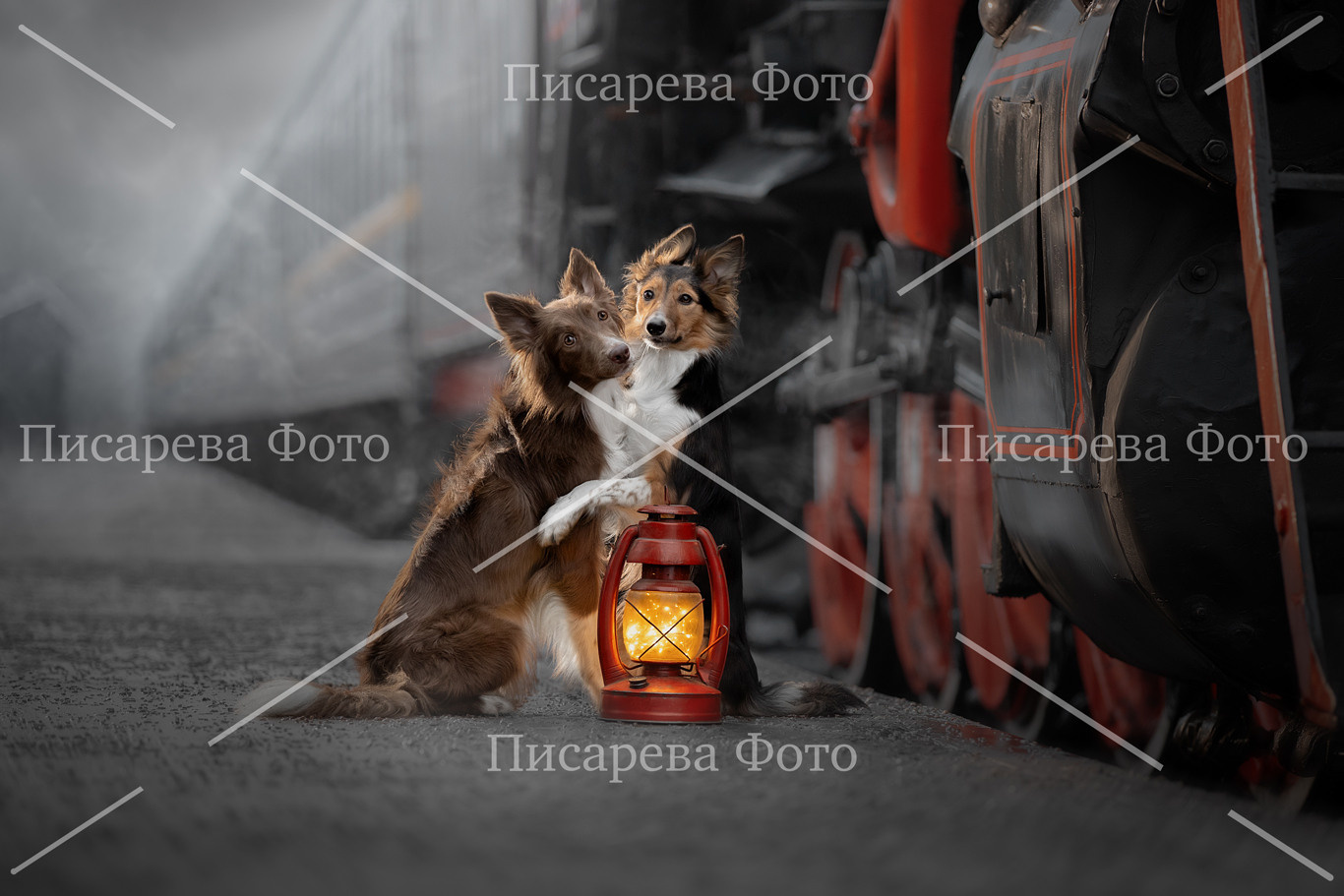 Две собаки на перроне ретро вокзала