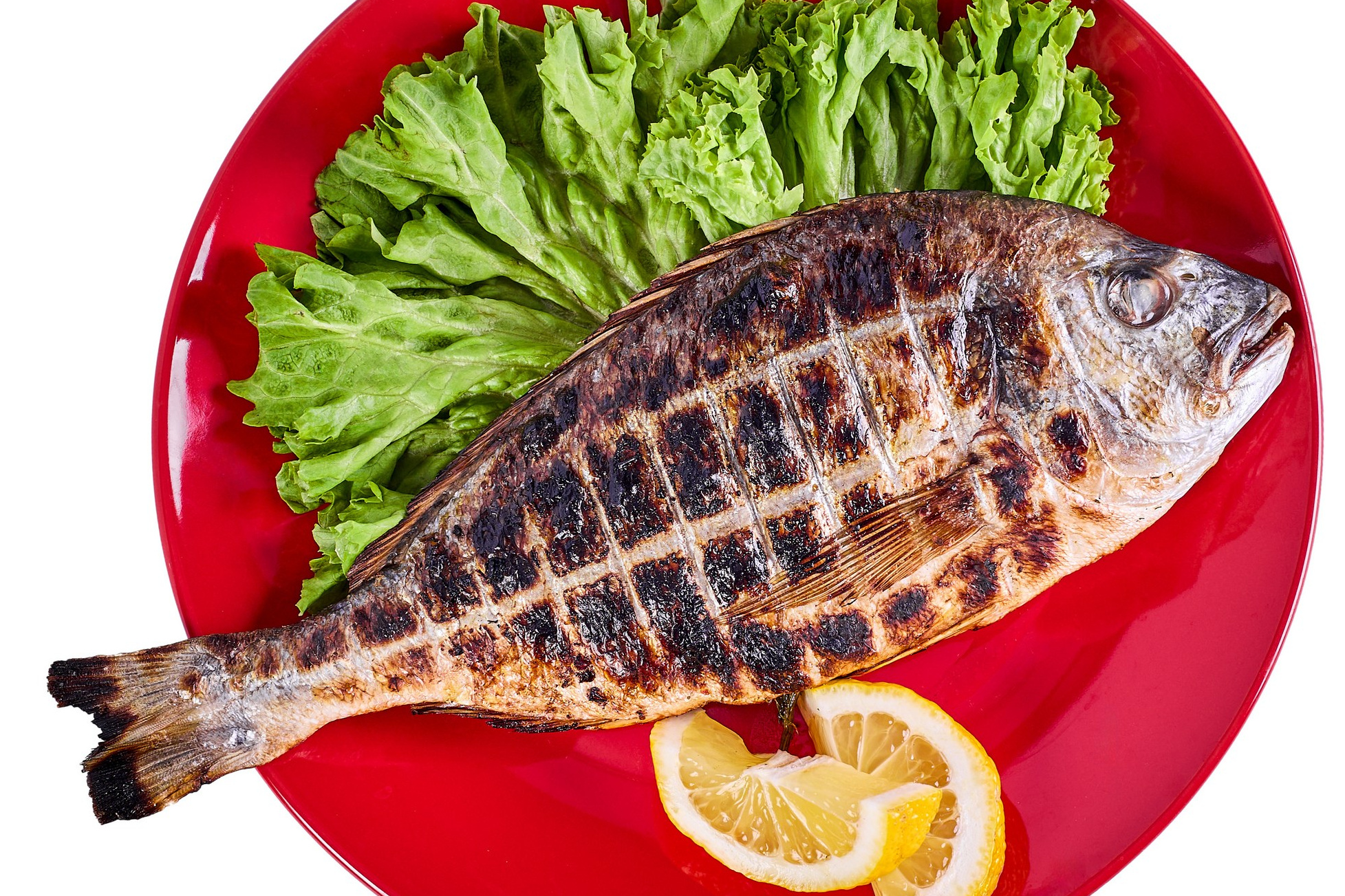 Фотограф Татаринов Андрей (Донецк / Макеевка)