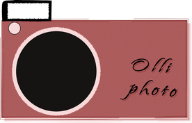 olliphoto.online