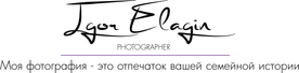 elaginpro.ru