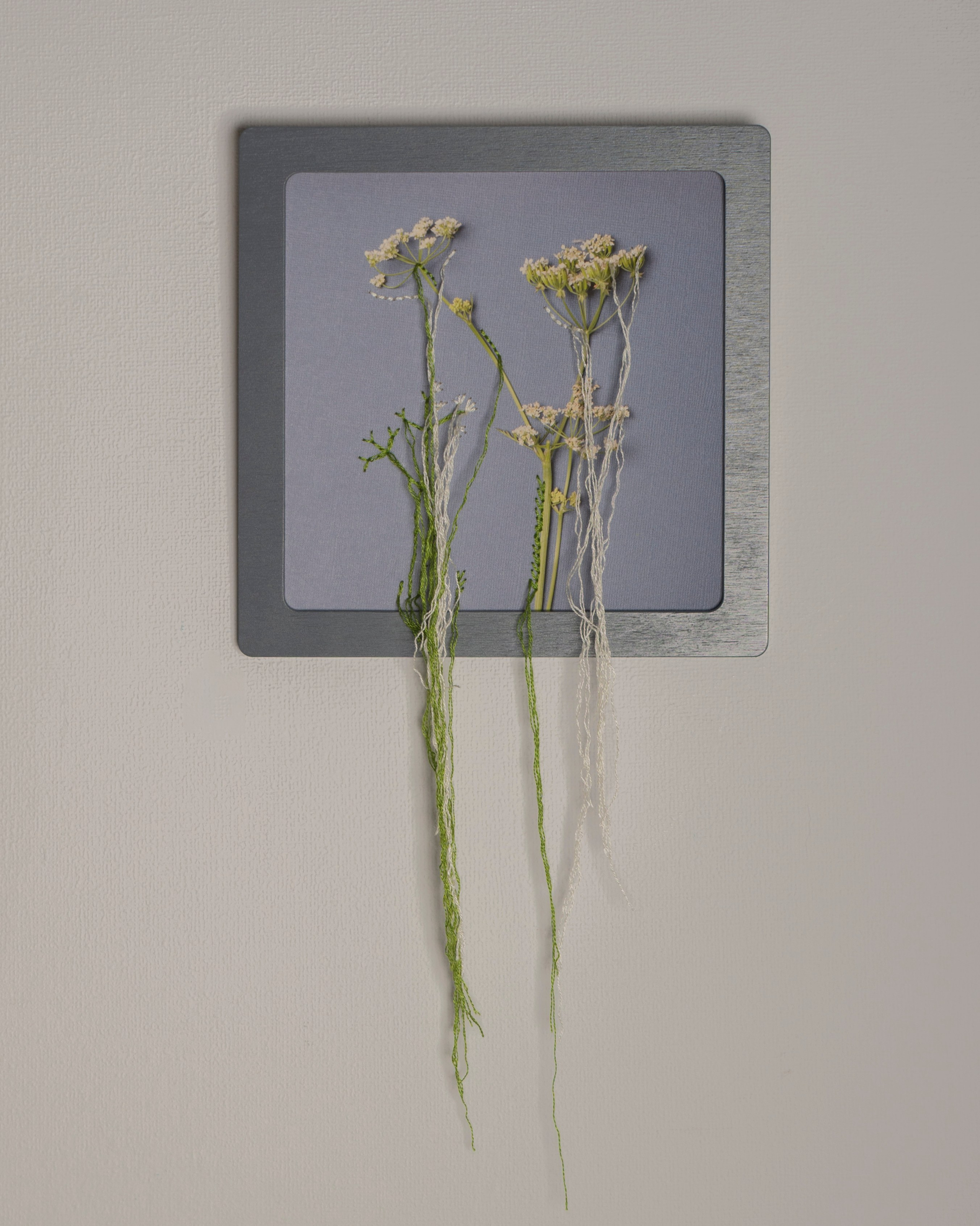 Работы приобрести. Фотохудожник АРТ-фотограф Ира Будниченко Москва