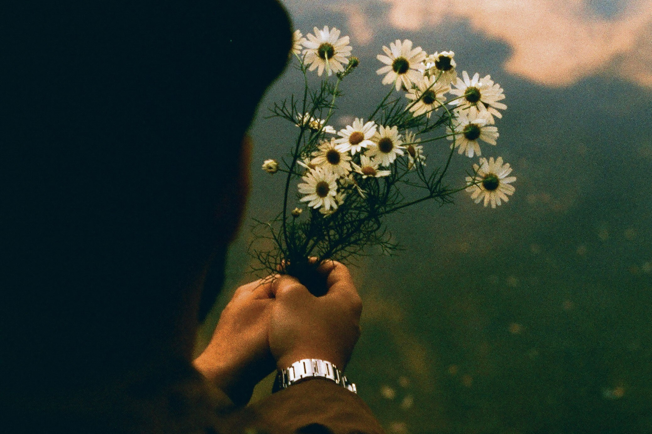 Услуги. Пленочный фотограф