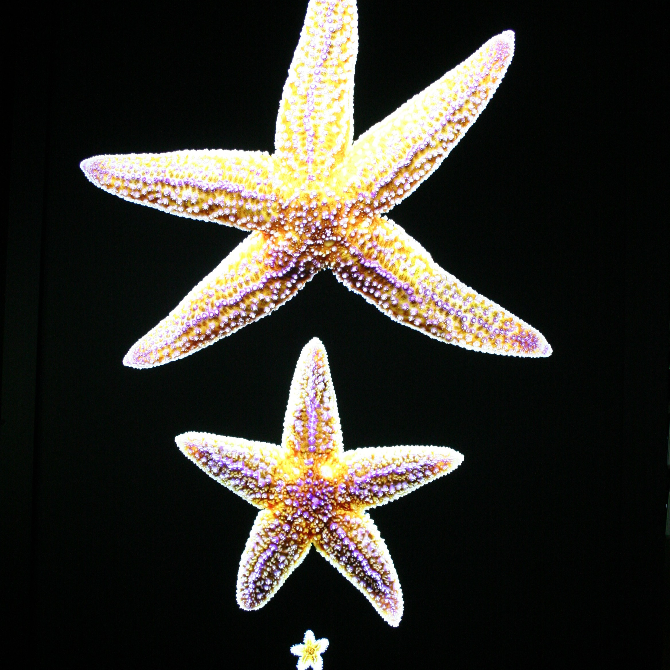 Услуги. Креативный фотограф