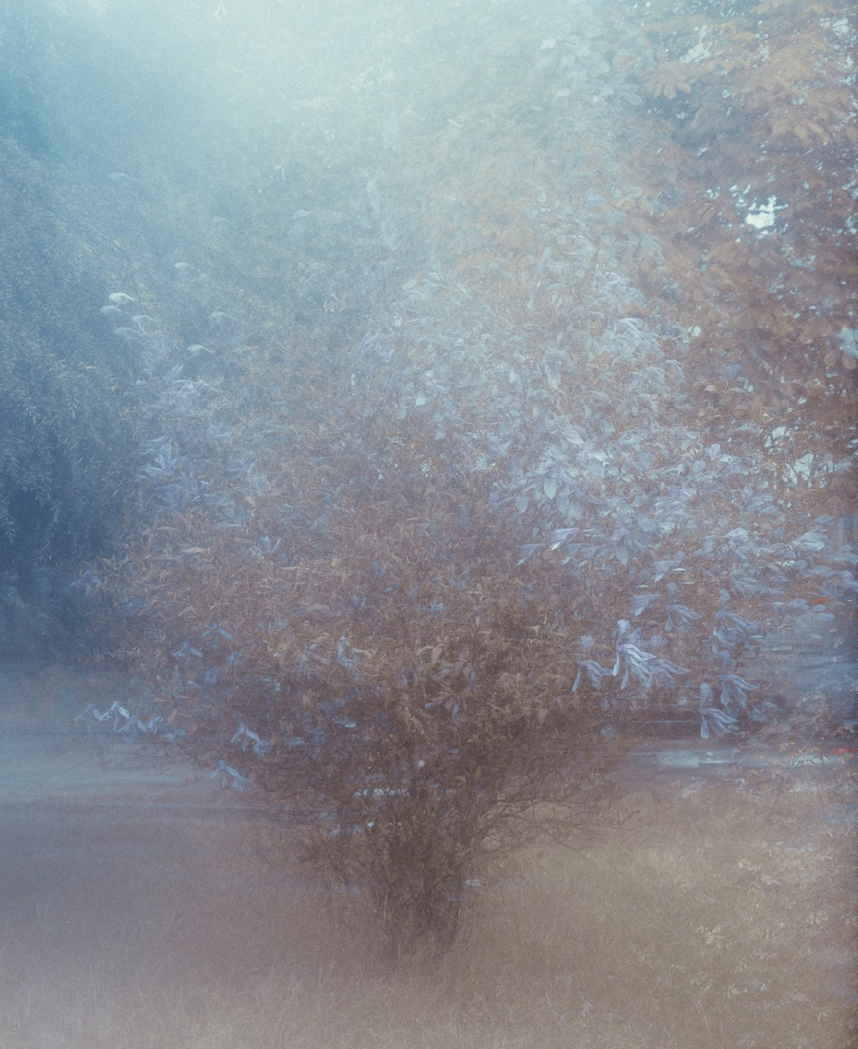 Калиновский Геннадий. ARTEXPOPHOTO