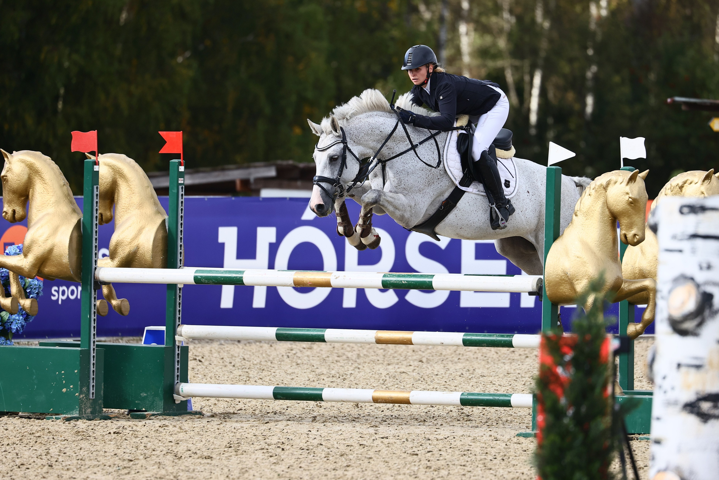 Купить фотографии с турниров. KatymartArt — Equine photography